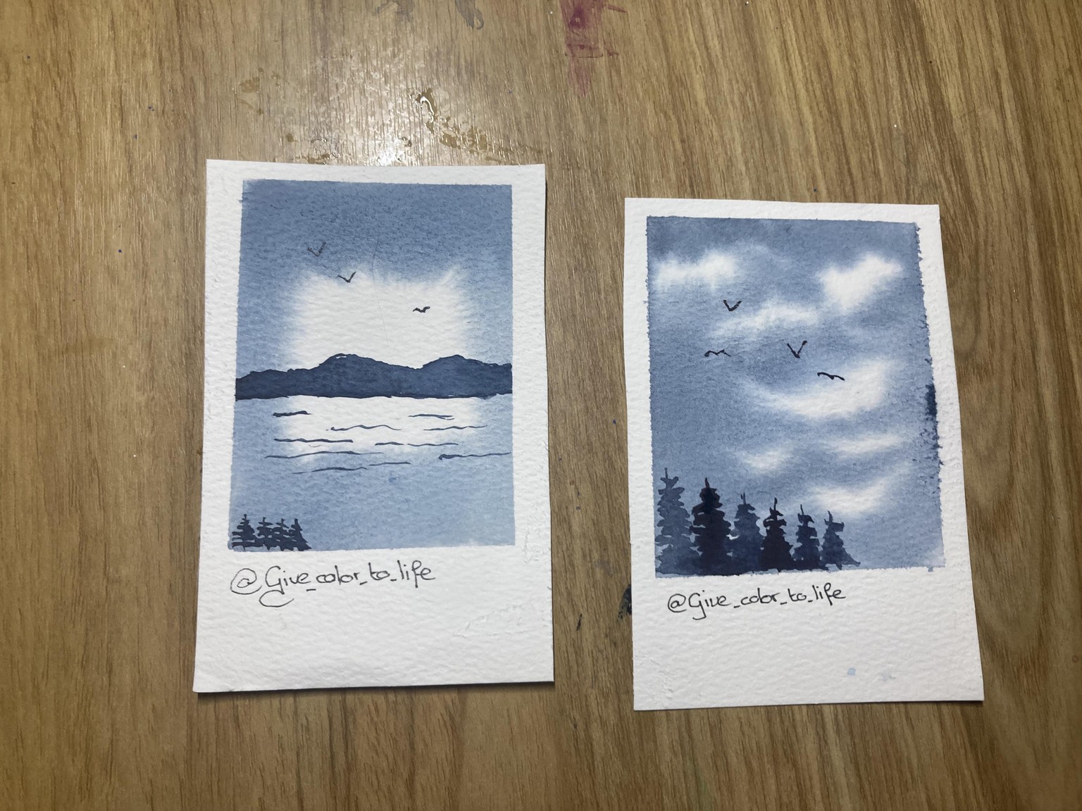 Polaroid landscapes - image 1 - student project