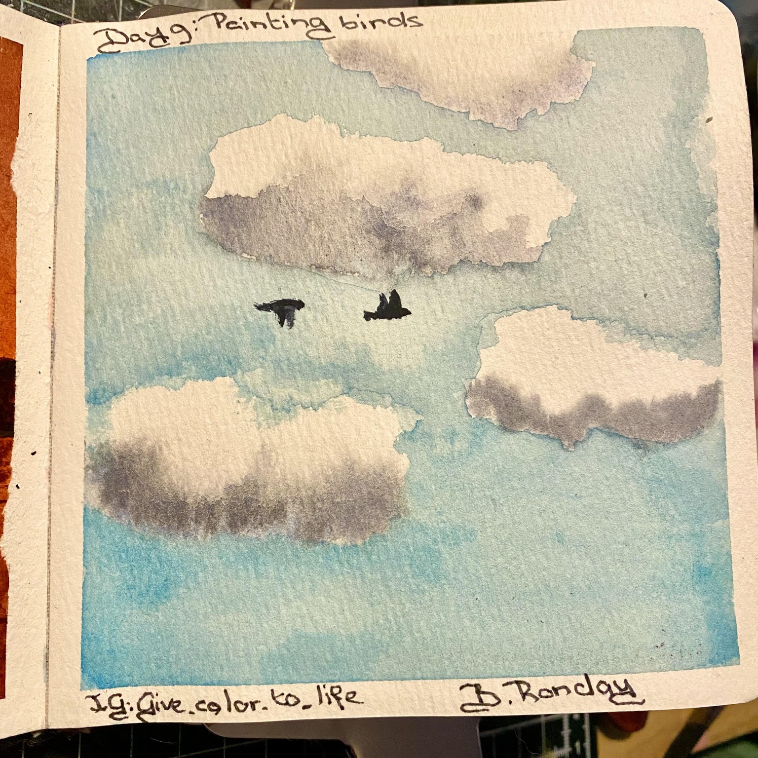 Birds flying high, you know how I feel ……… - image 11 - student project