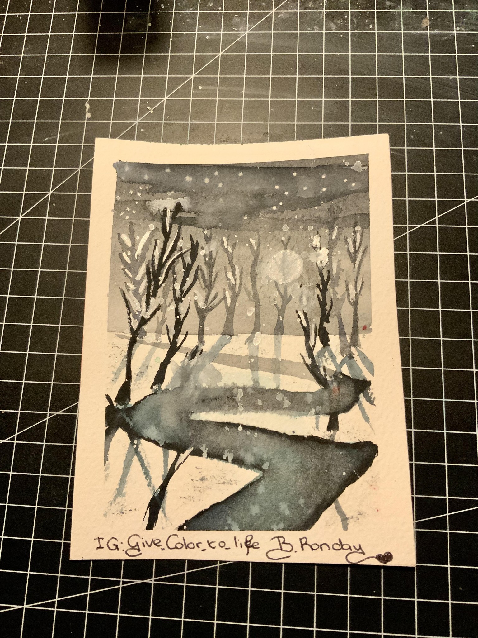 Give color to life - image 2 - student project
