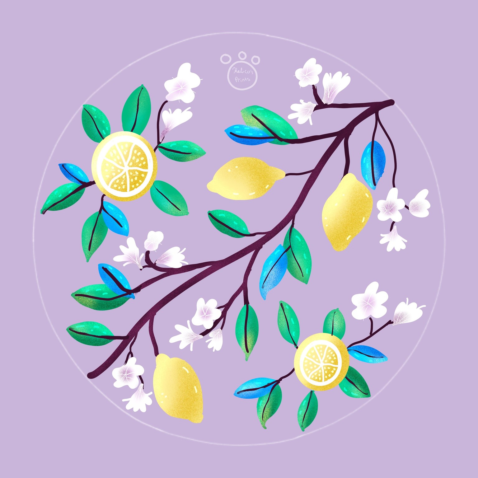 Fruits abound - image 2 - student project