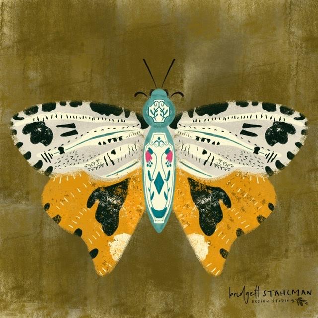 Butterfly series #1 - image 3 - student project