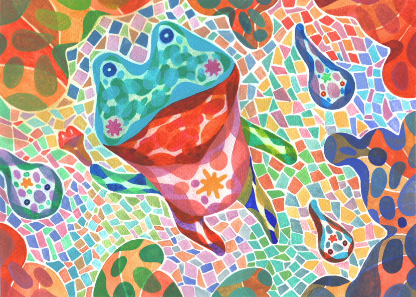 Colorful Frog - image 1 - student project