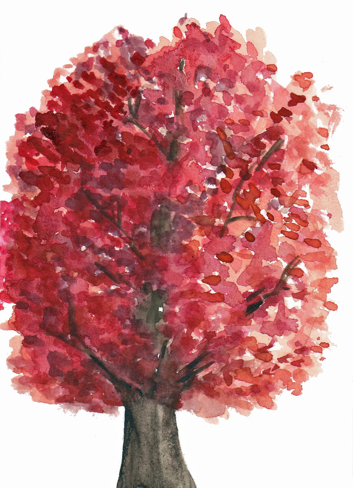 A loot of trees :) - image 5 - student project