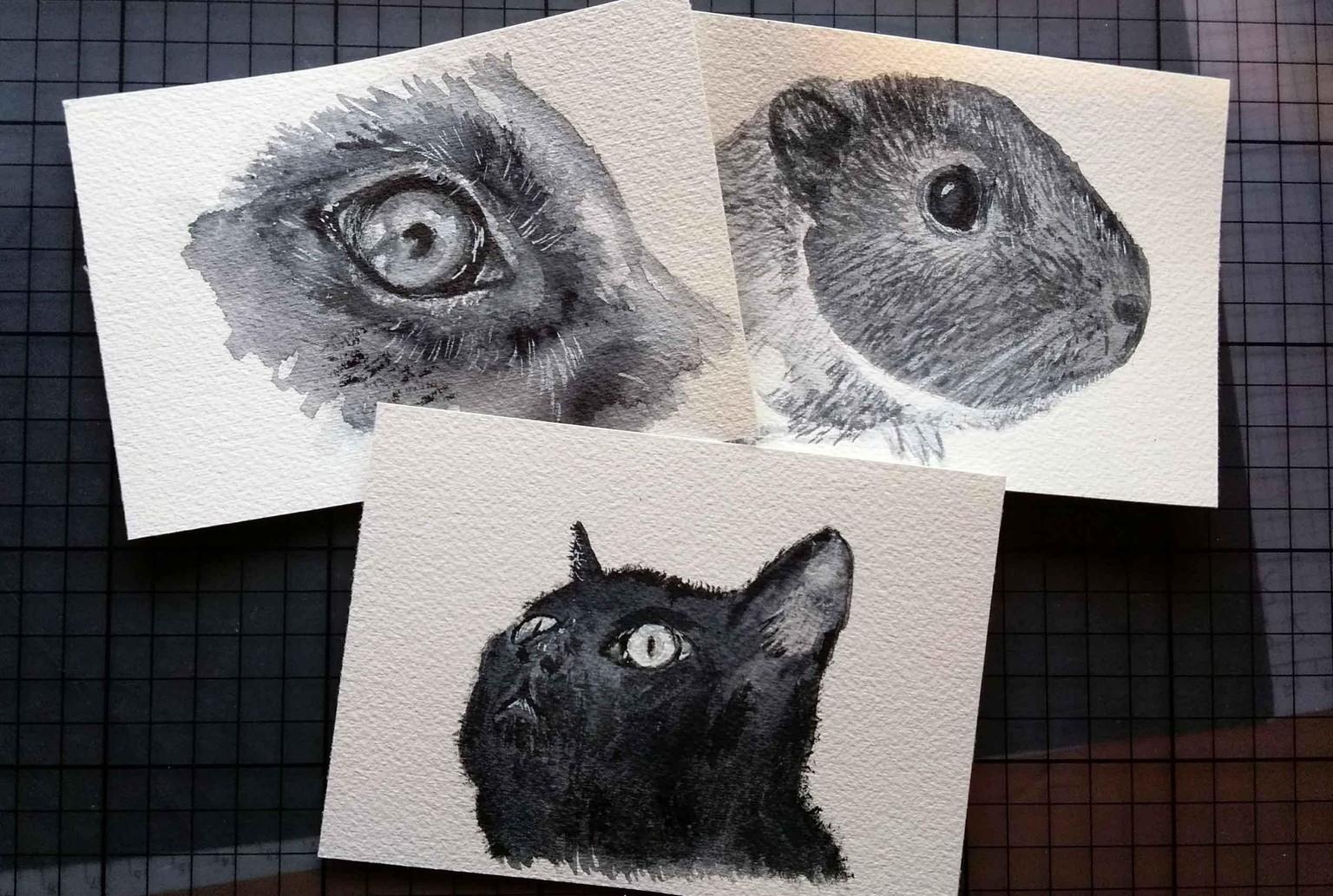 Animals eyes - image 1 - student project