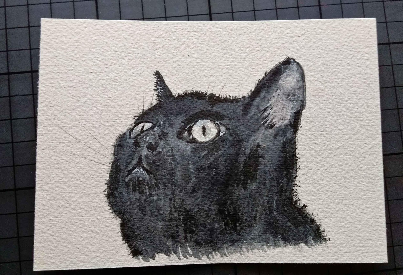 Animals eyes - image 2 - student project