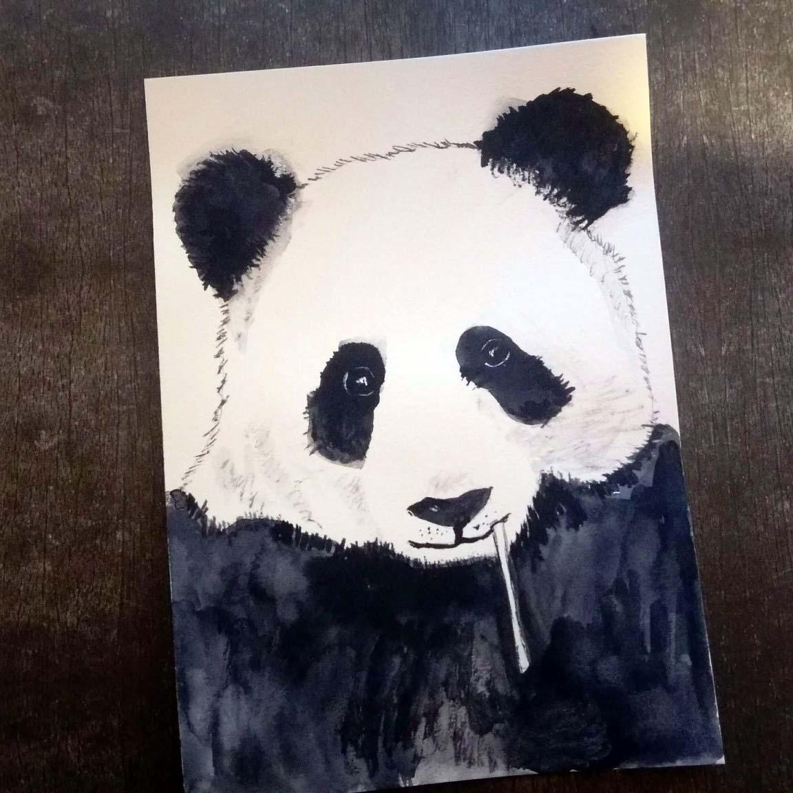 A lot of Animals with  one color - image 4 - student project