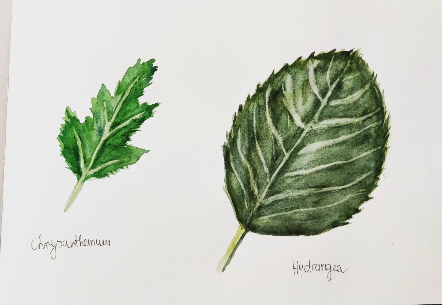 Relaxing with some greenery - image 6 - student project