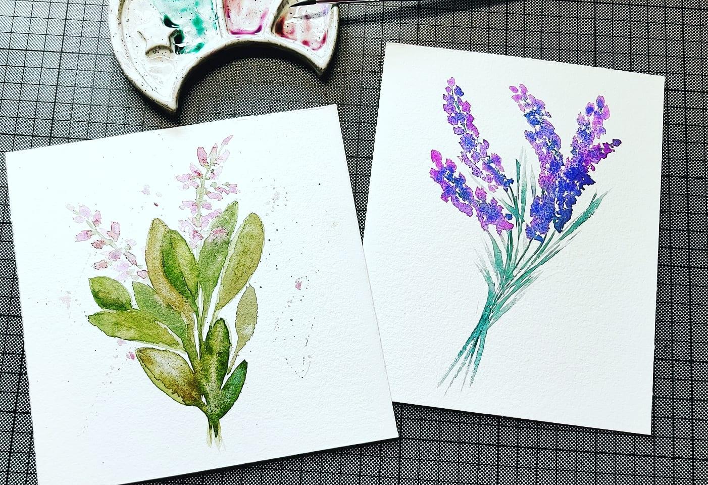 Herbs from my Garden - image 1 - student project