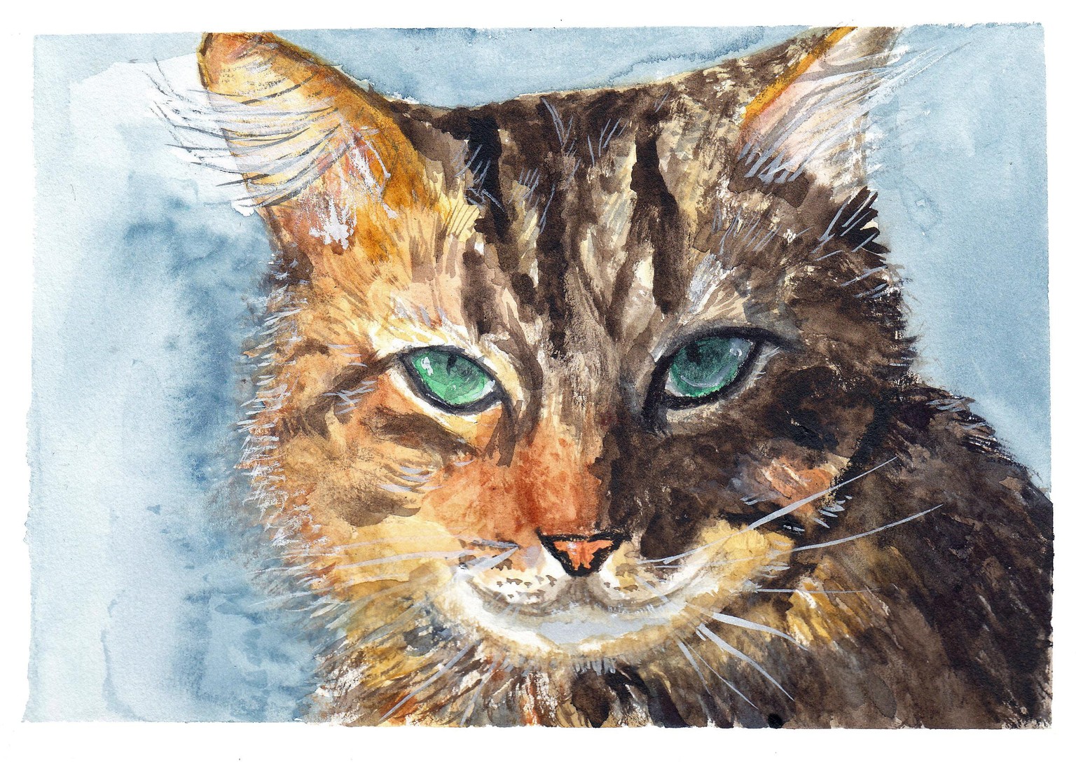 Animals eyes - image 4 - student project
