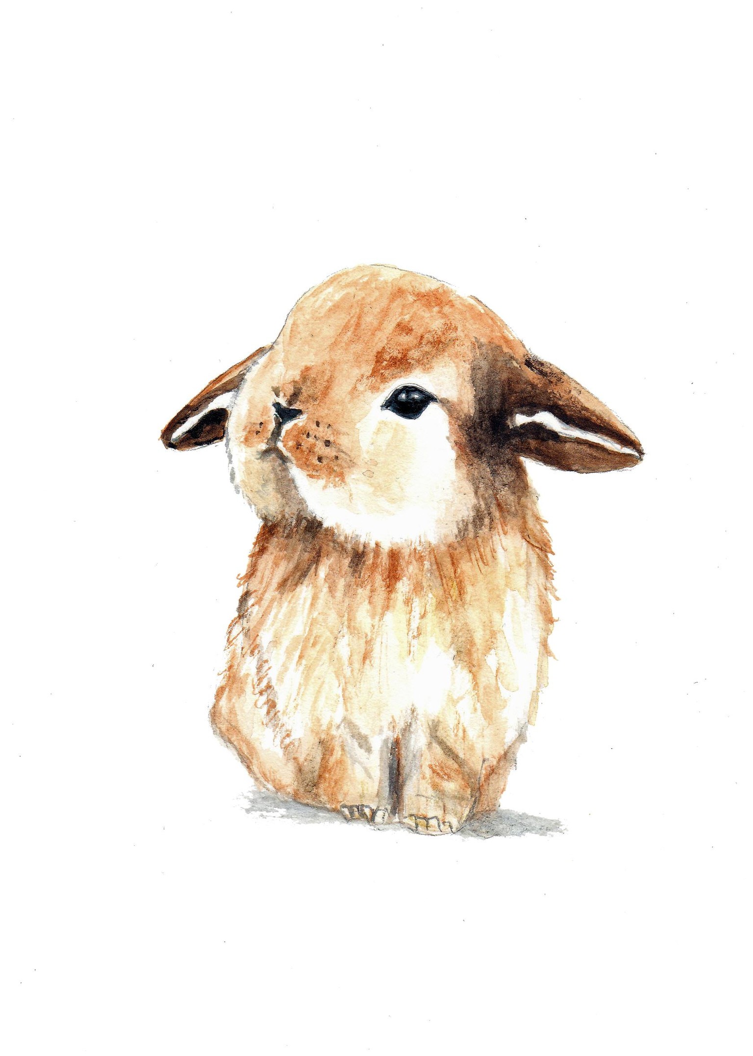 My little Bunny - image 1 - student project