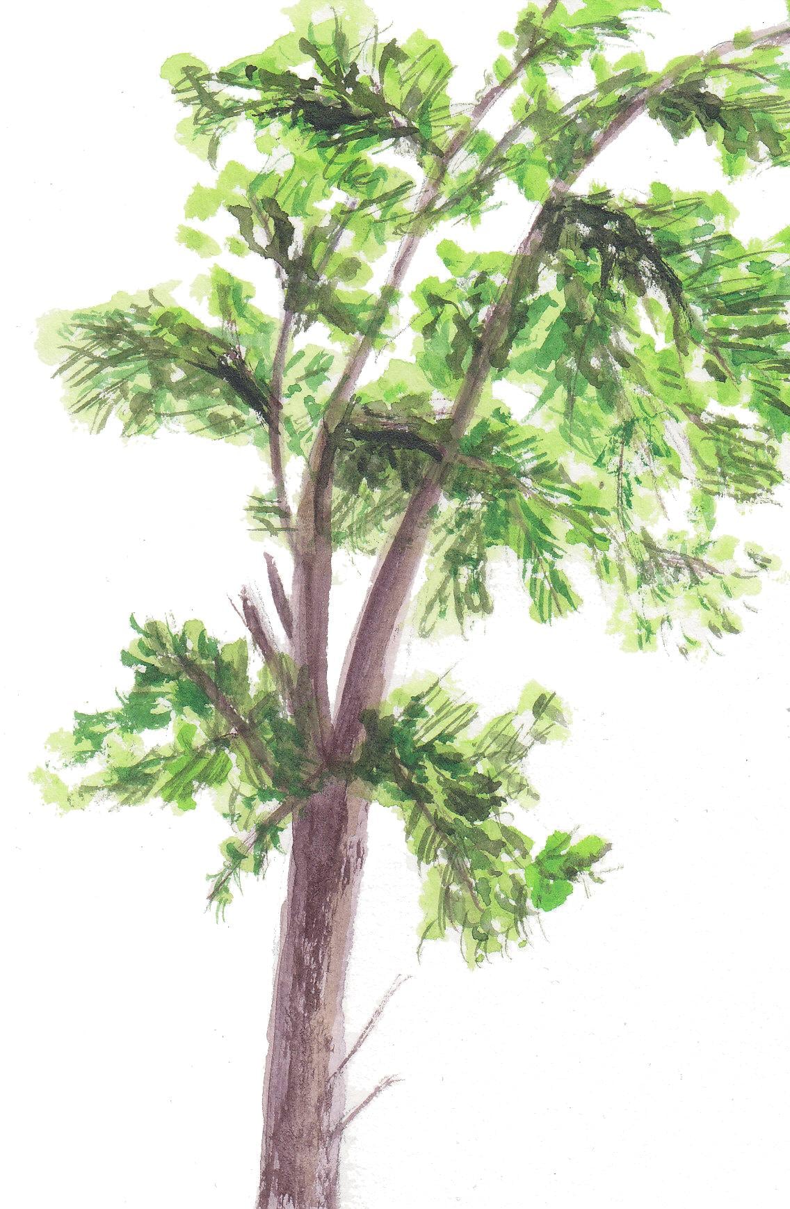 A loot of trees :) - image 4 - student project