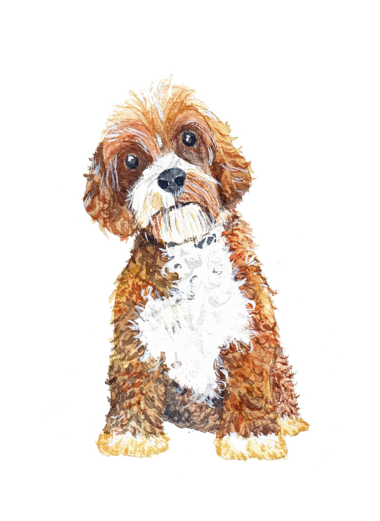 A very furry puppy - image 1 - student project