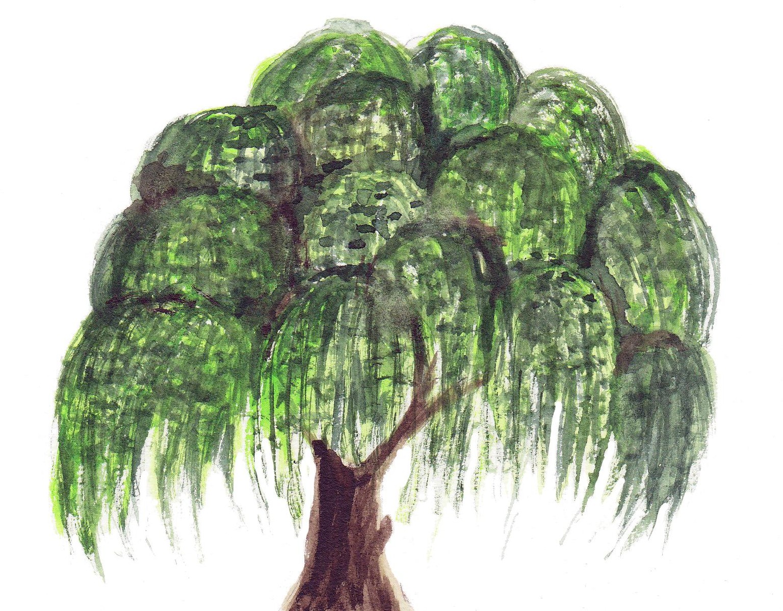 A loot of trees :) - image 3 - student project