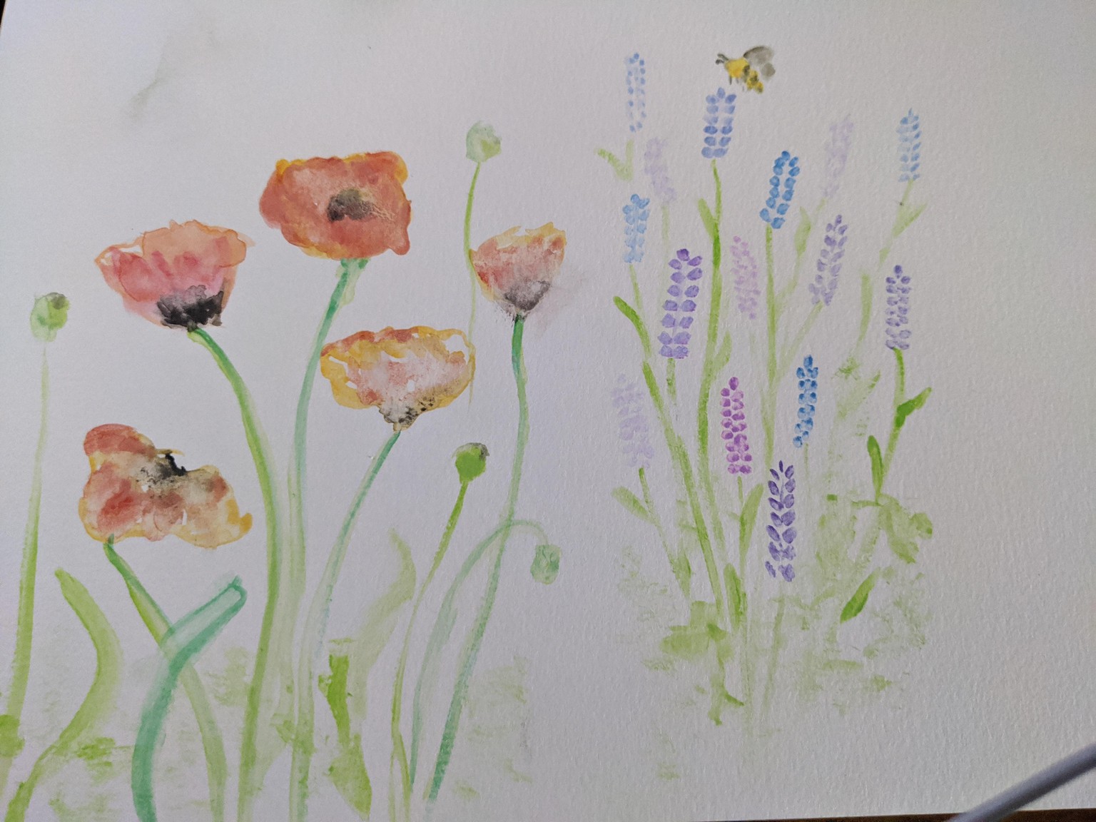 Lavender and Poppies - image 1 - student project