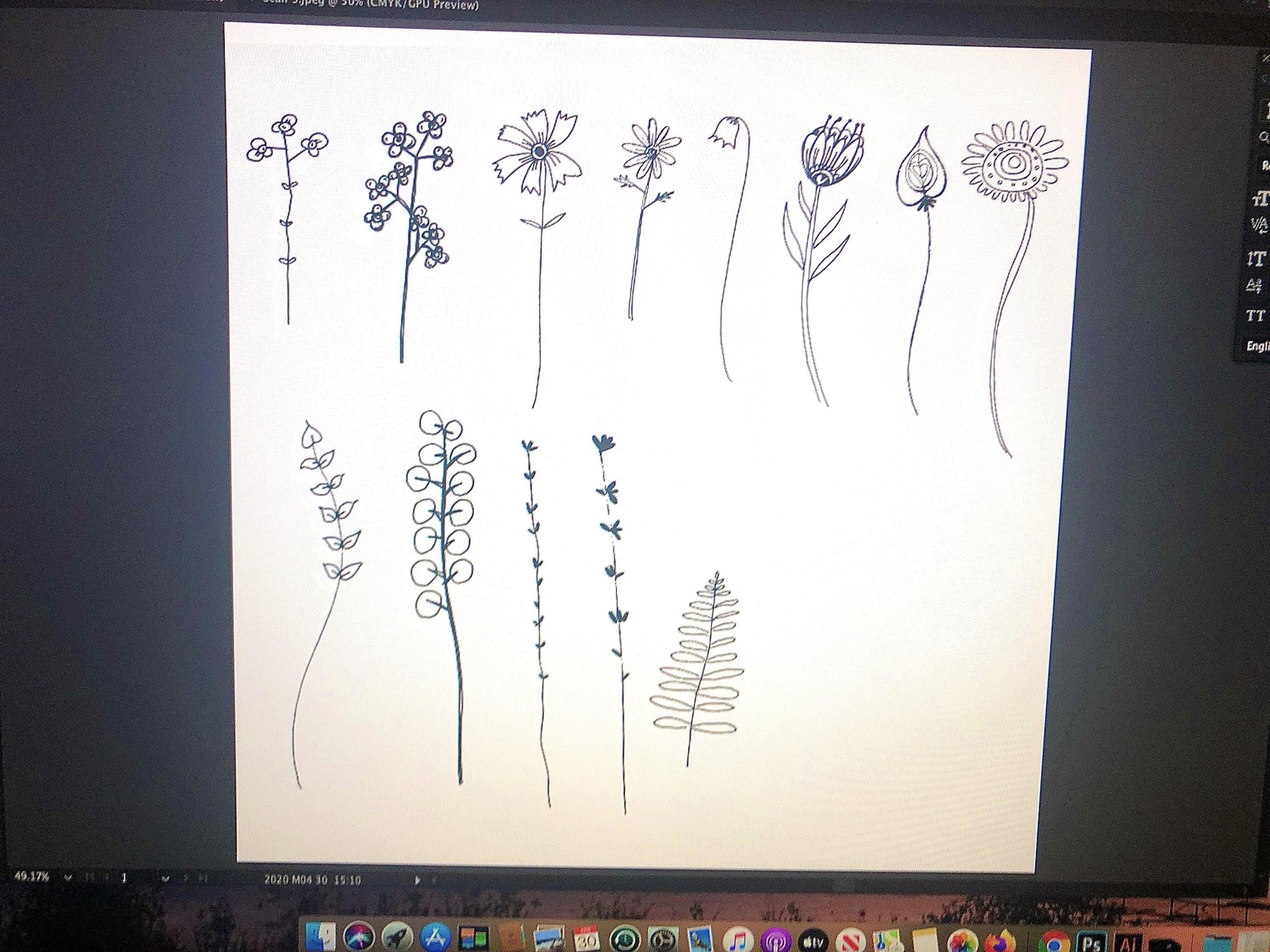 Anna's Bouquet - image 4 - student project