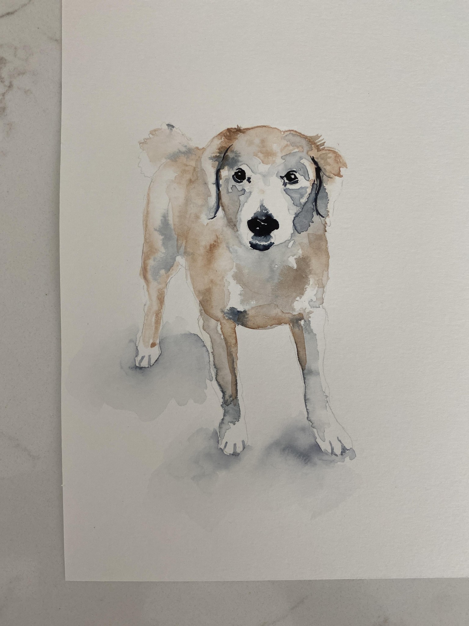 Retriever - image 1 - student project