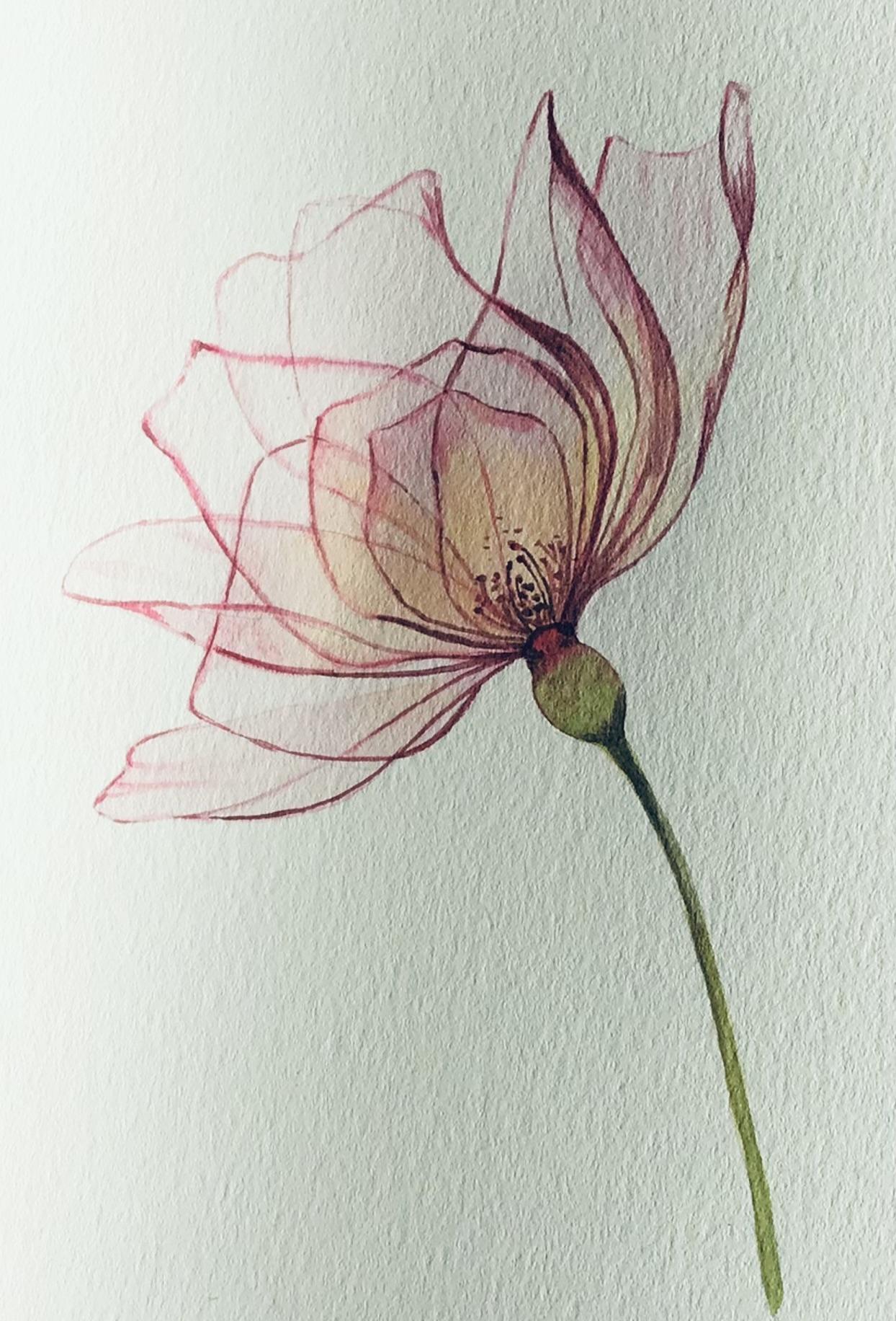 Watercolor tulip transparent technique - image 2 - student project