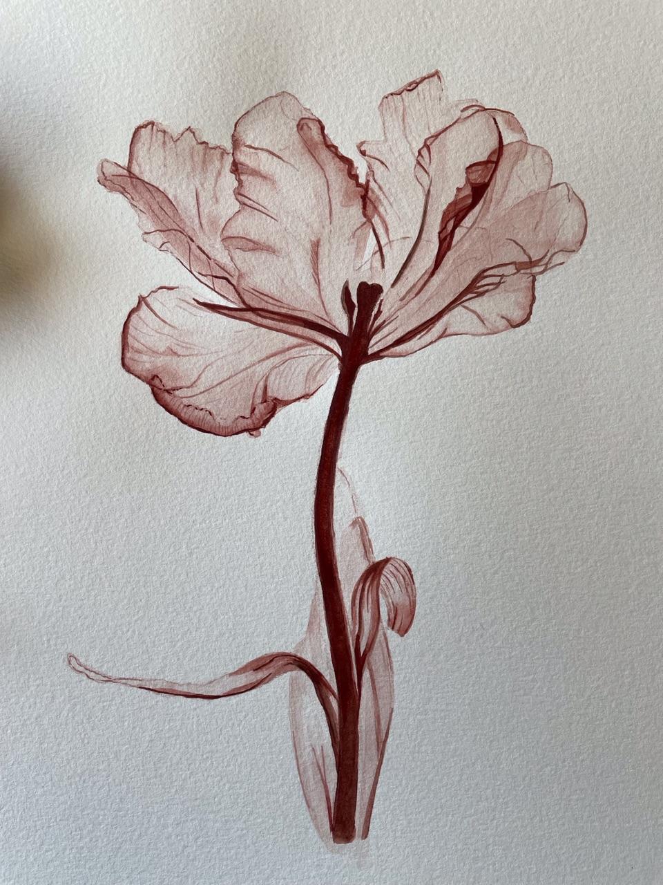 Watercolor tulip transparent technique - image 3 - student project