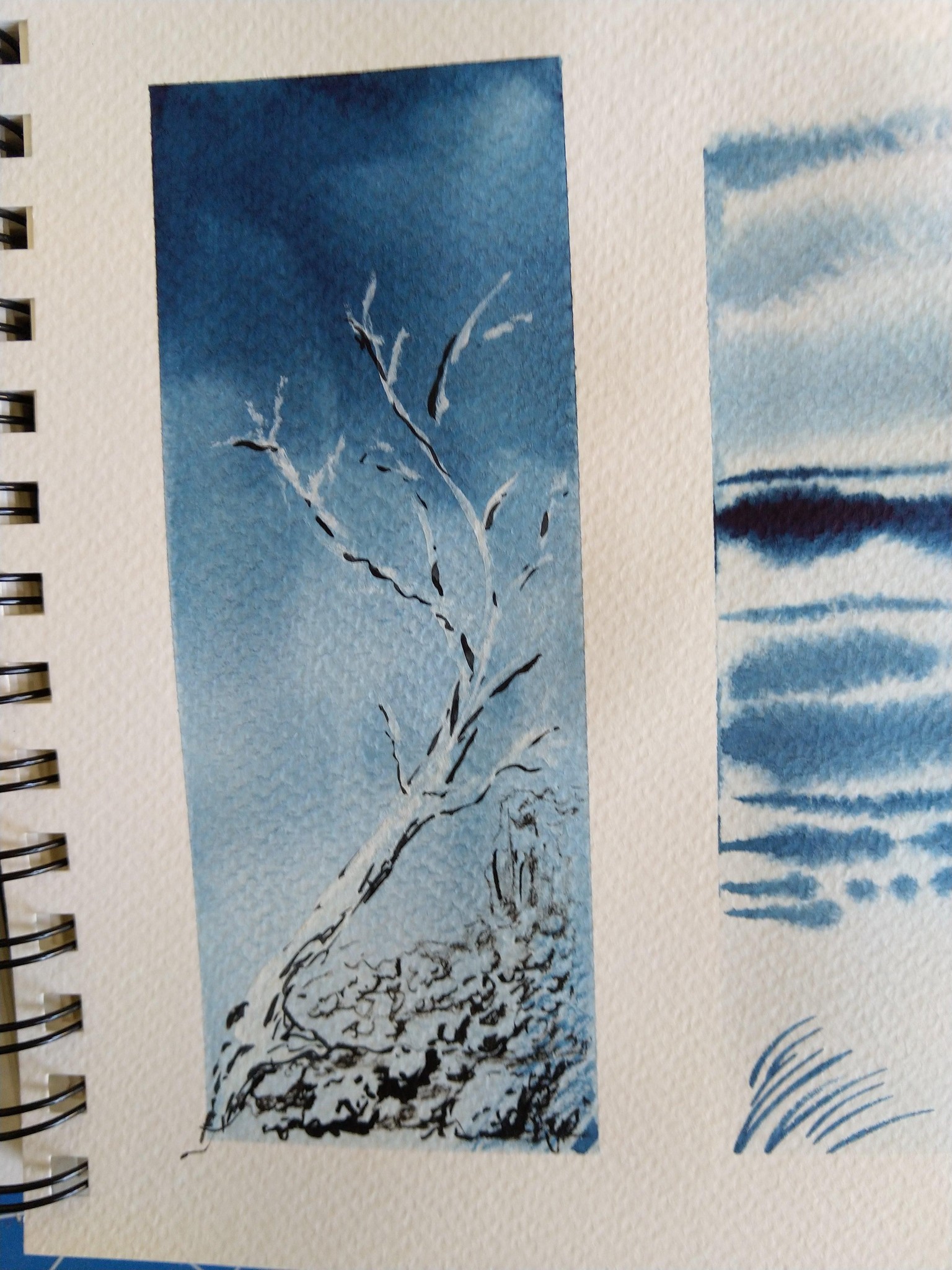 Ghost Gum on a Rocky Outcrop - image 2 - student project