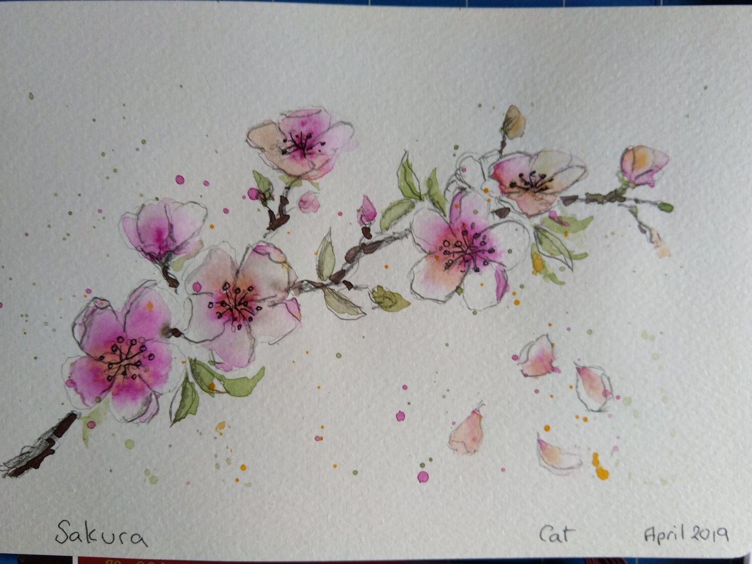Sakura - image 1 - student project