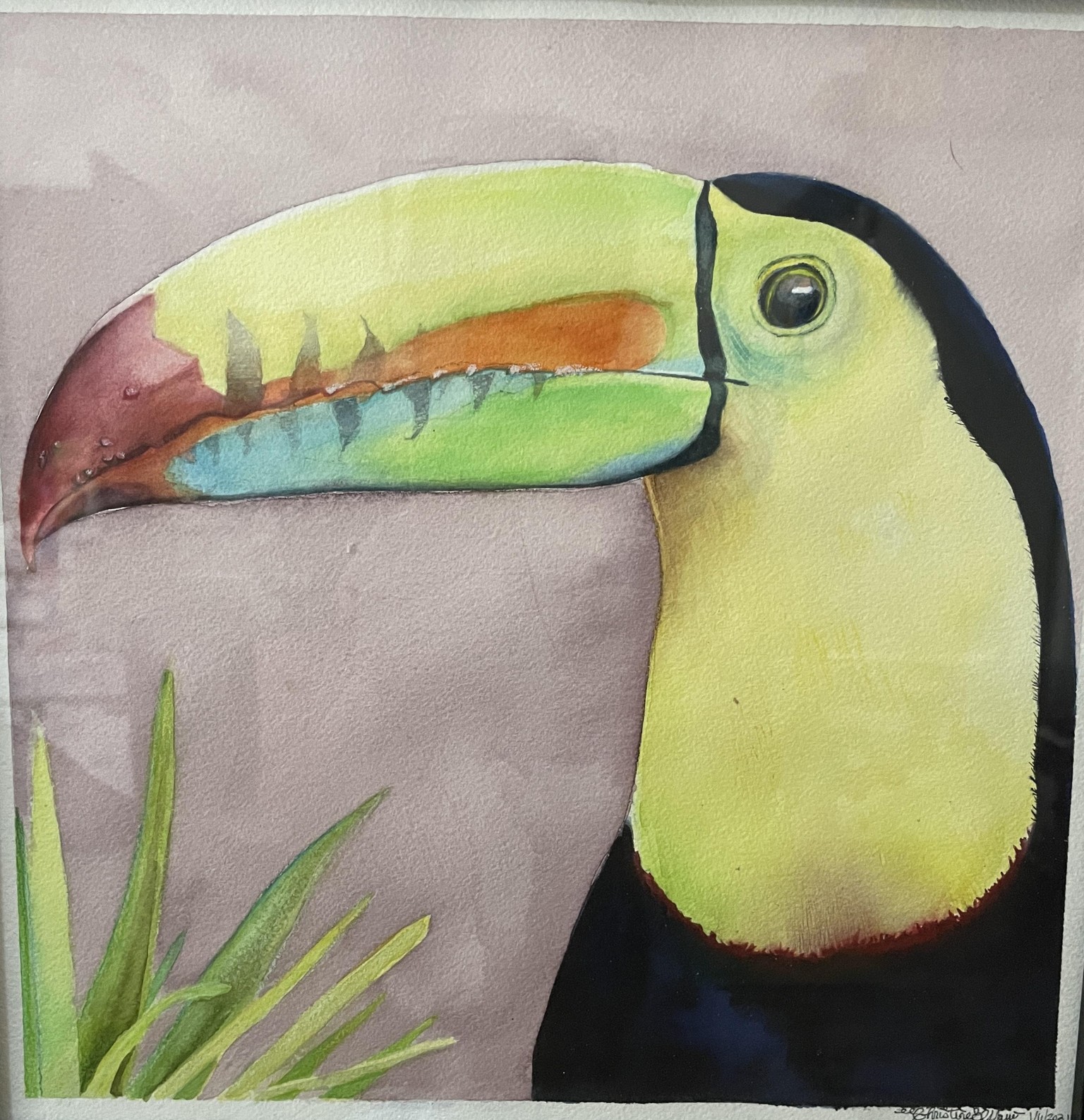 toucan in watercolour - image 1 - student project