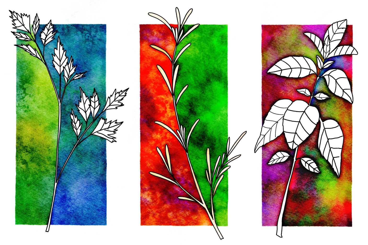 Work - image 1 - student project