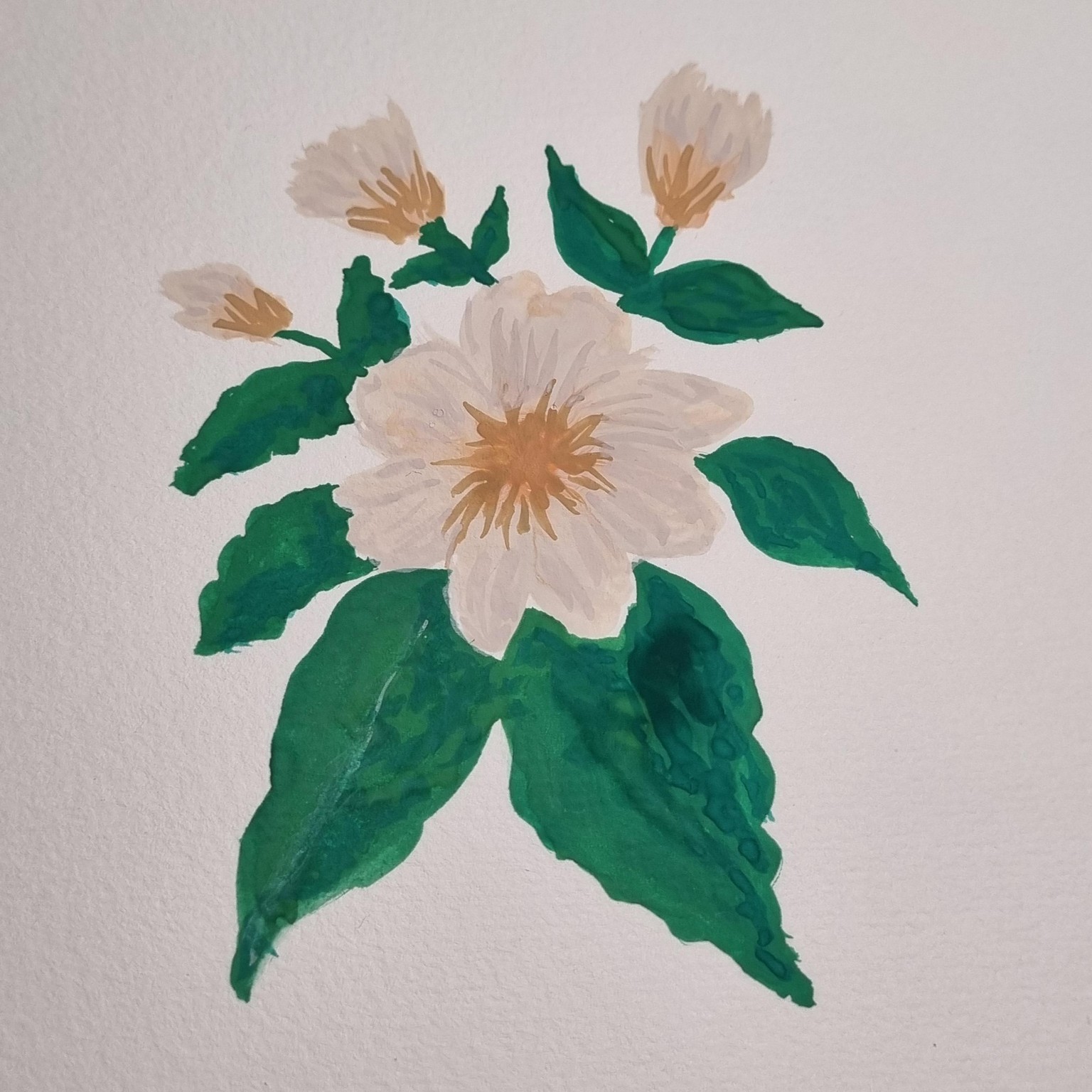Gouache flowers - image 1 - student project