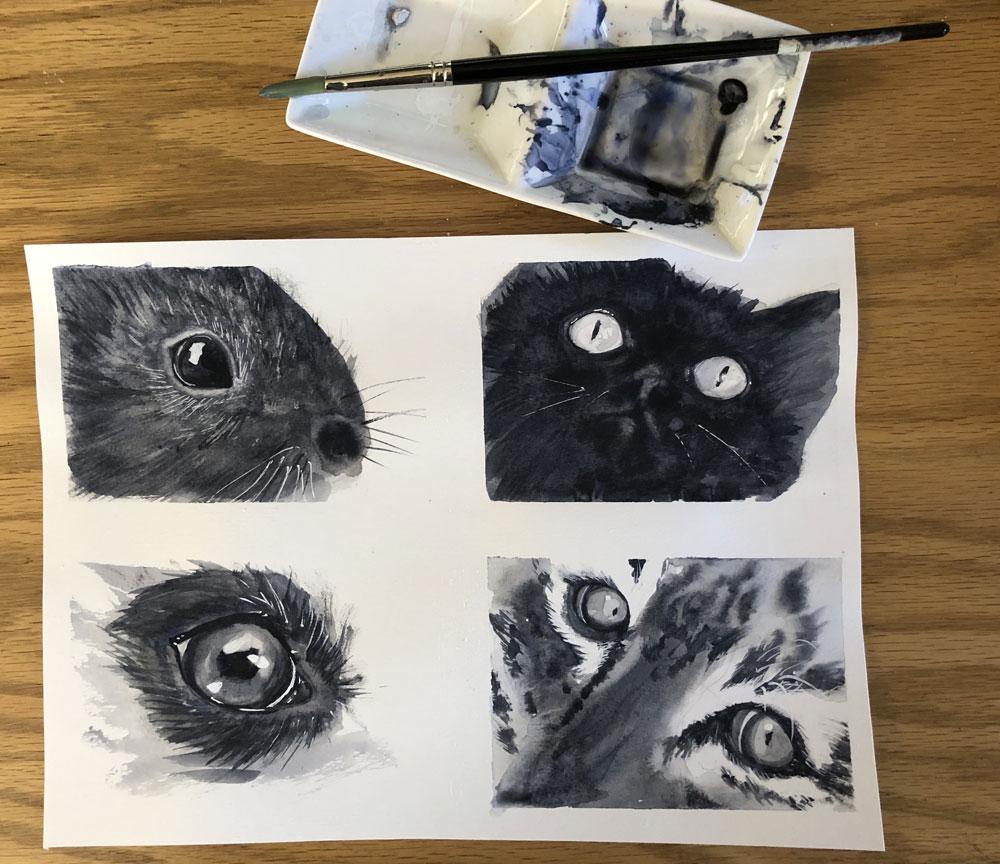My monochrome animal eyes - image 5 - student project