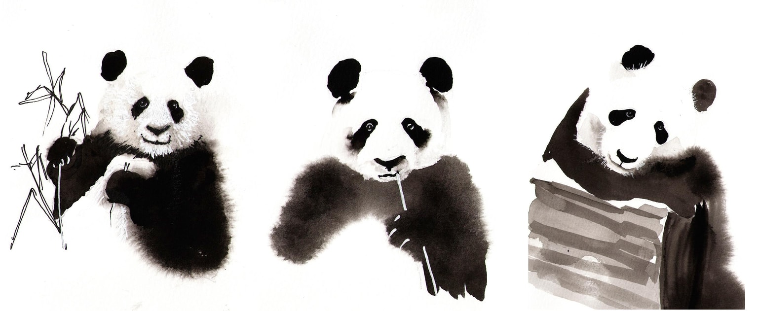 Monochrome cats - image 1 - student project