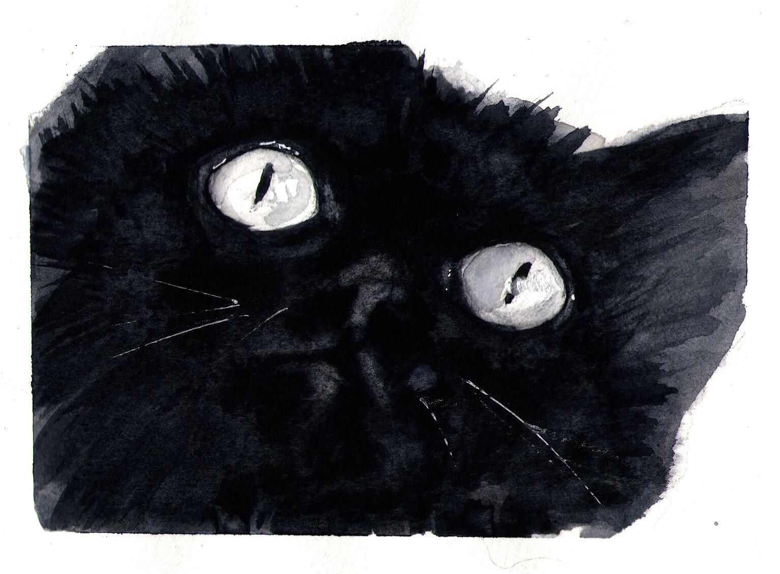 My monochrome animal eyes - image 2 - student project