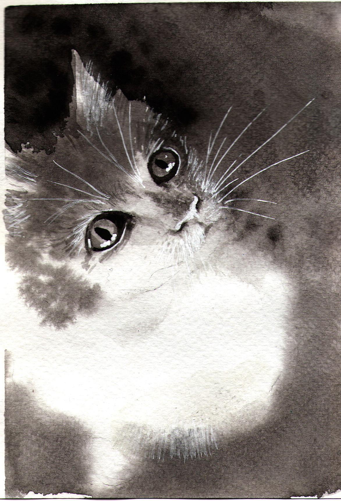 Monochrome cats - image 2 - student project