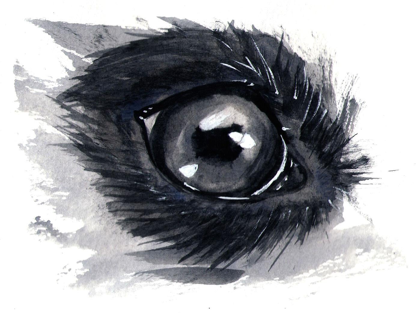 My monochrome animal eyes - image 3 - student project