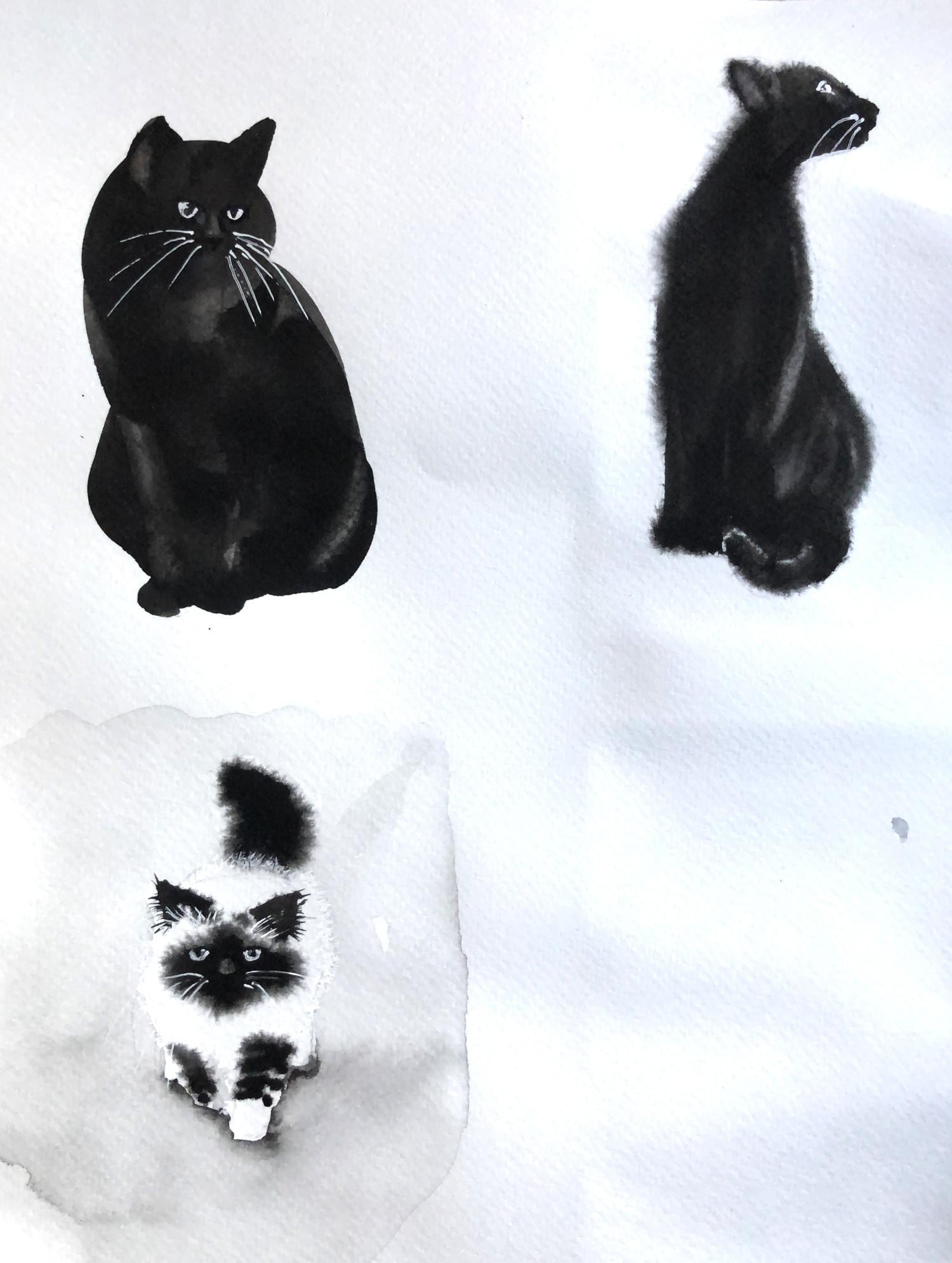 Monochrome cats - image 3 - student project
