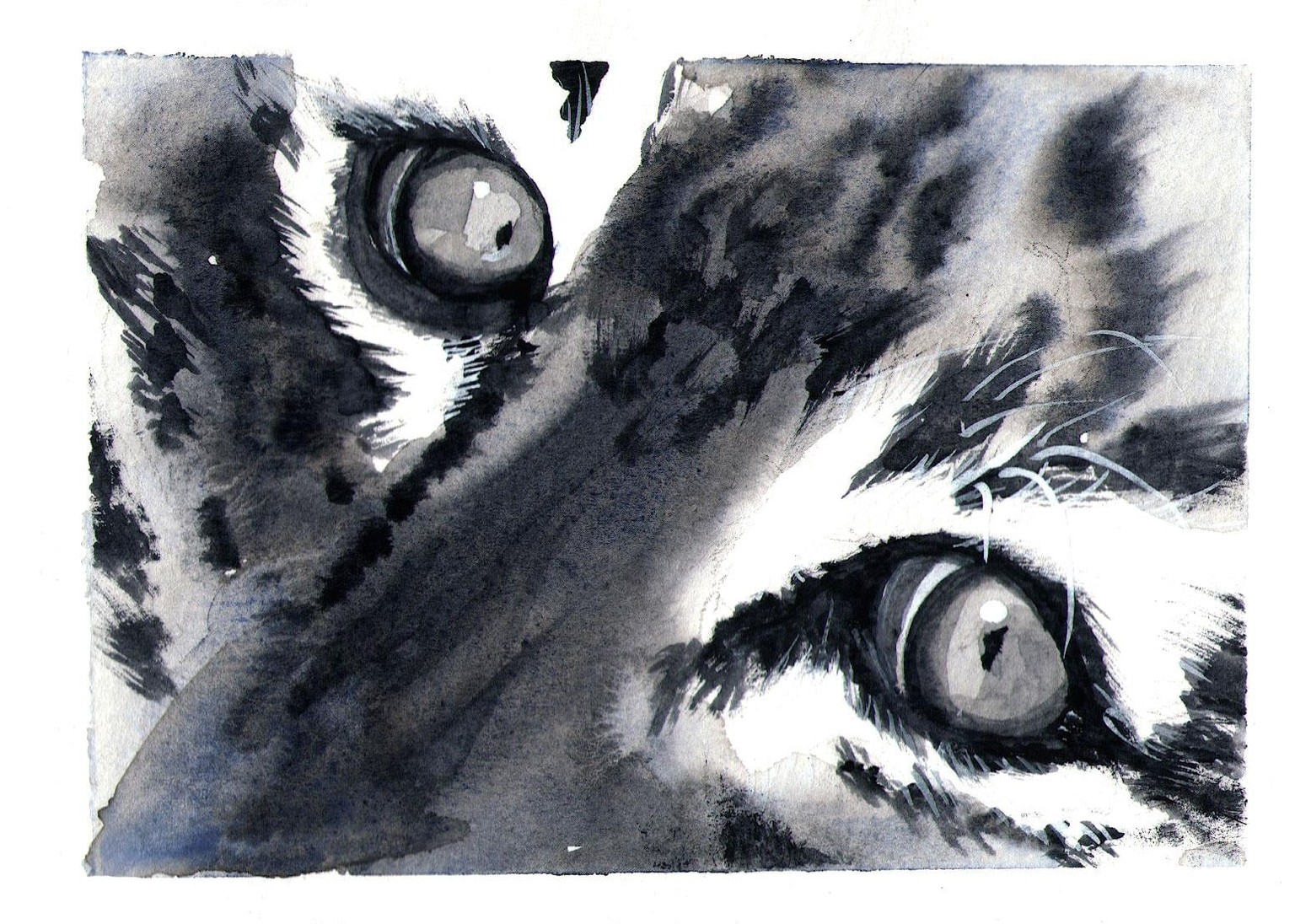 My monochrome animal eyes - image 4 - student project