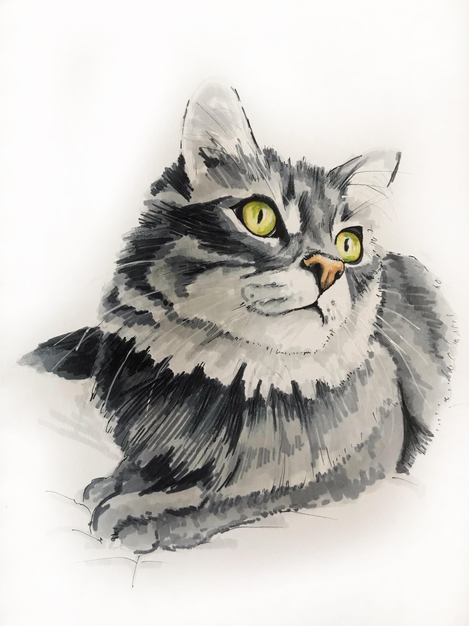 grey - image 1 - student project