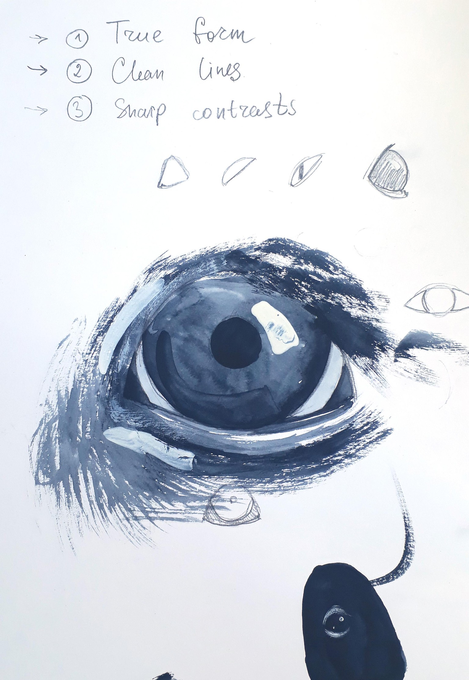 My illustrations - image 1 - student project