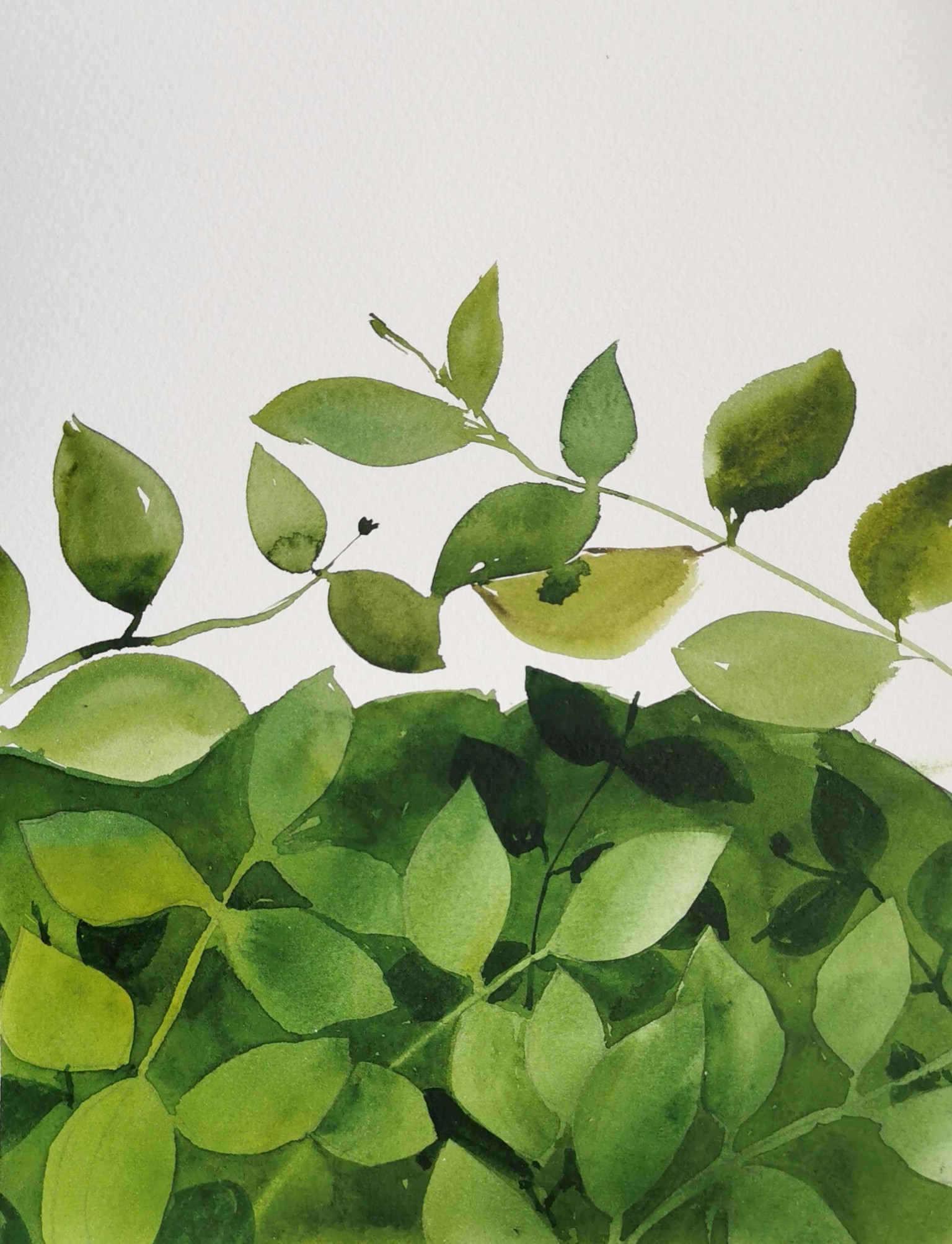 My illustrations from this class - image 6 - student project