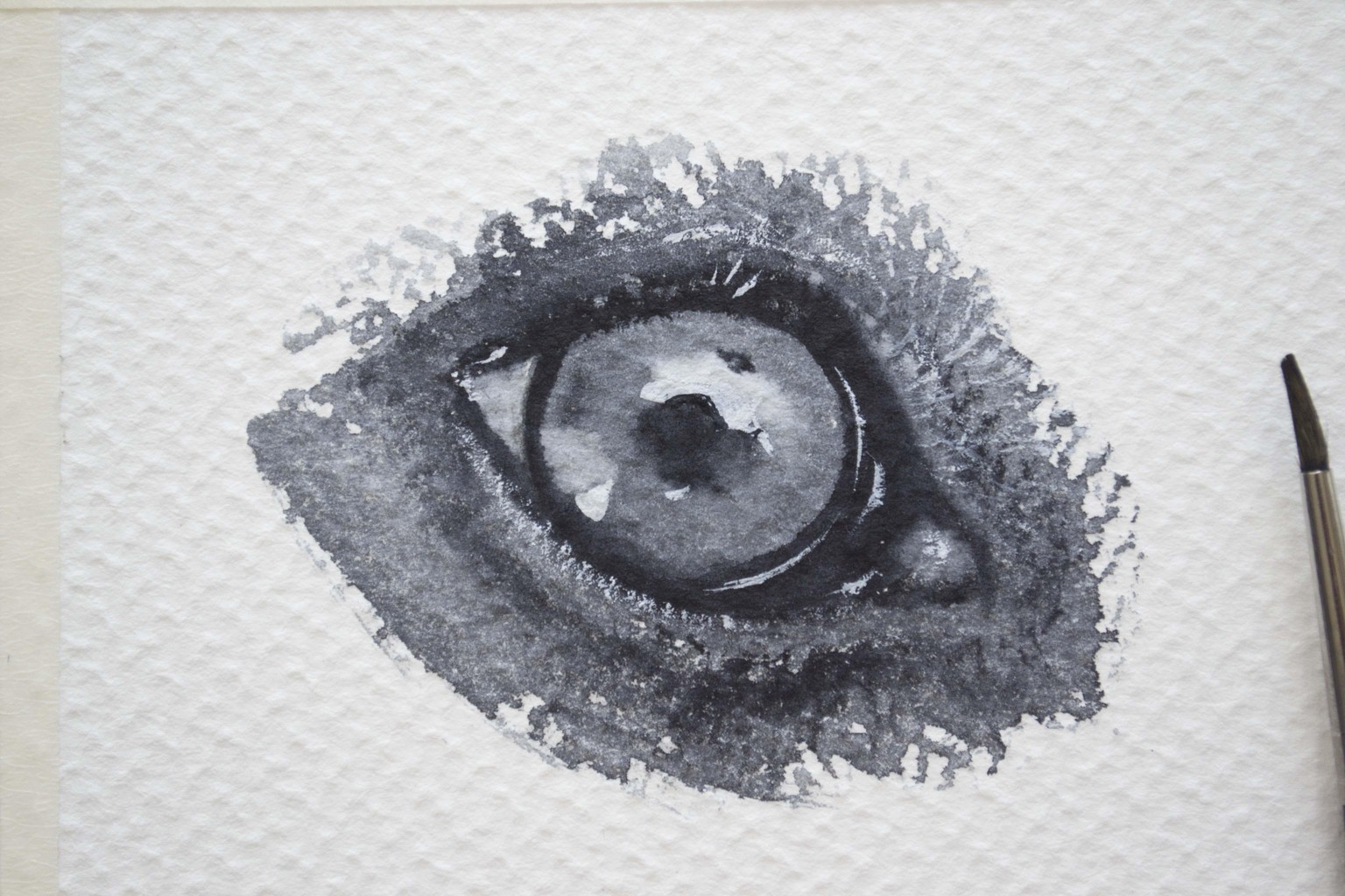 My illustrations - image 4 - student project