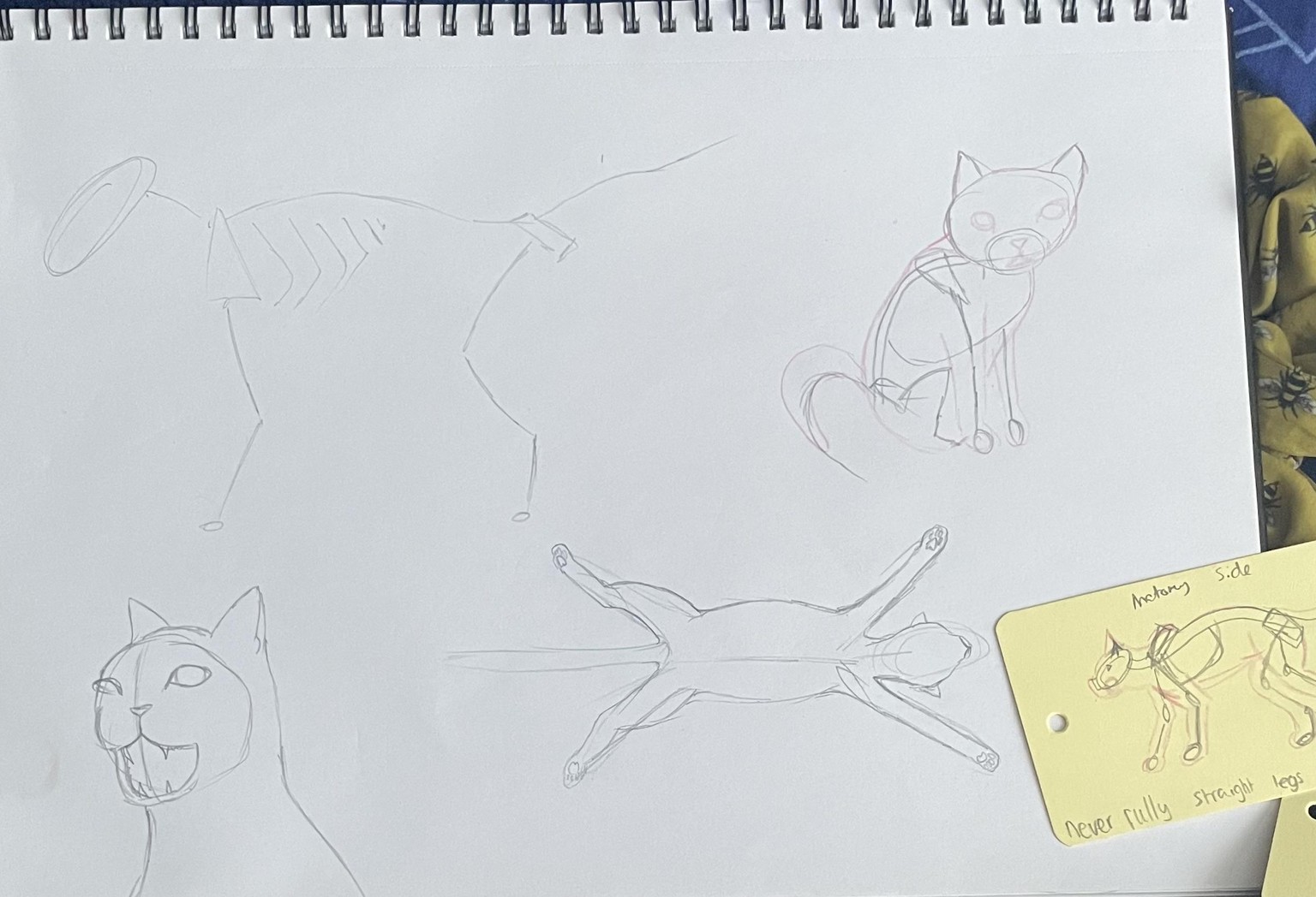 Cat doodles - image 1 - student project