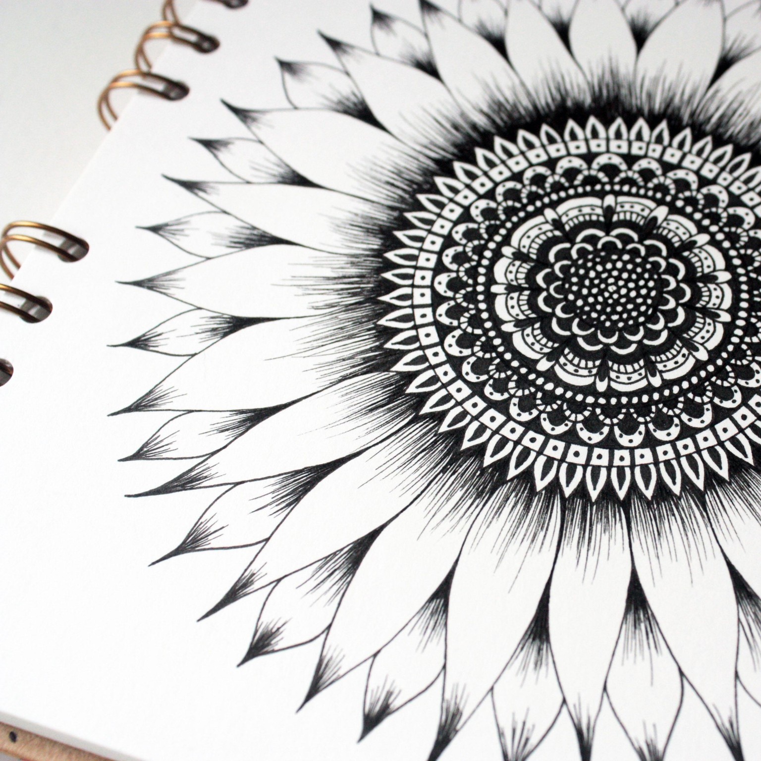 Sunflower Joy - image 2 - student project