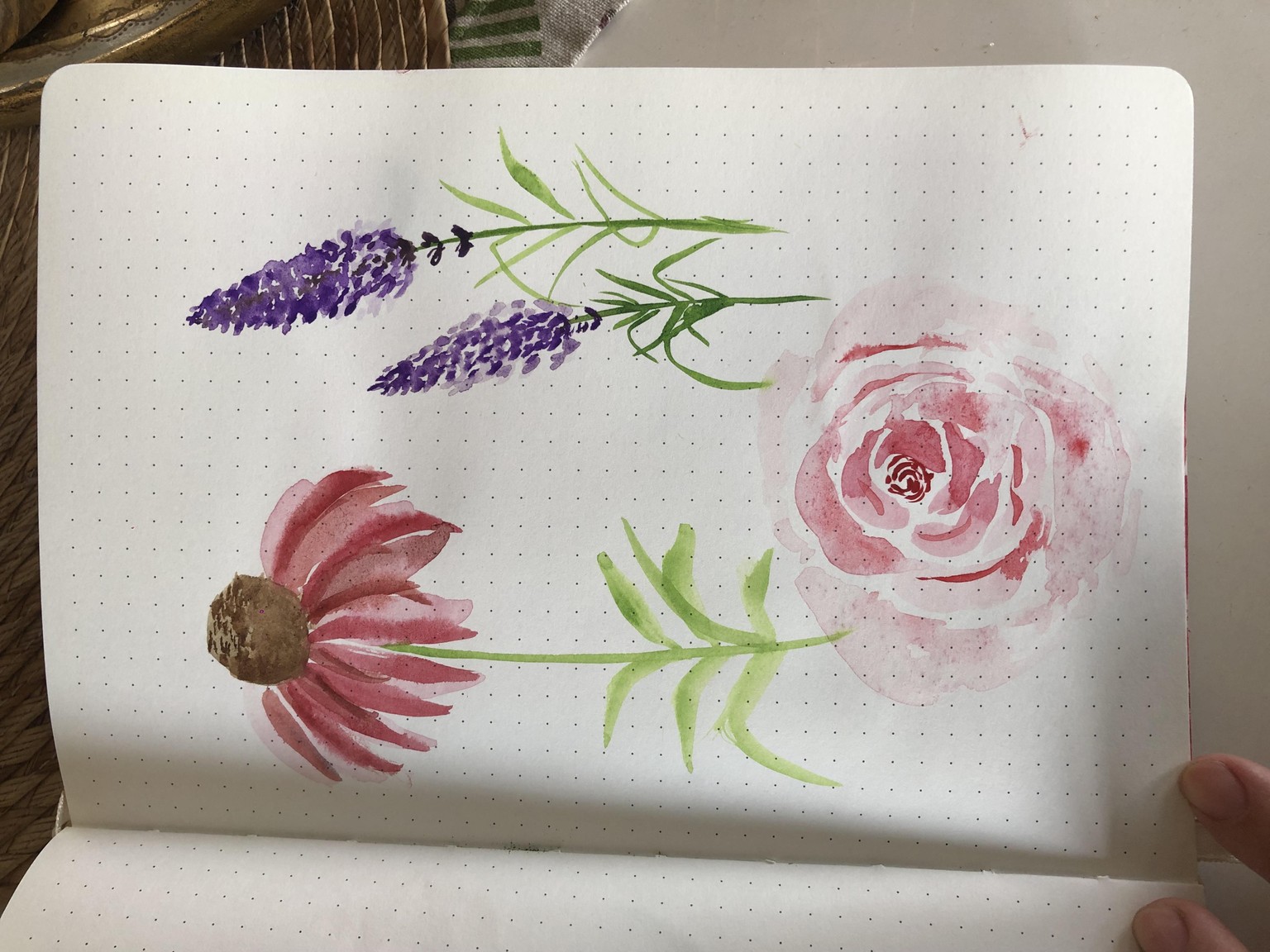 Journaling with anemones - image 1 - student project