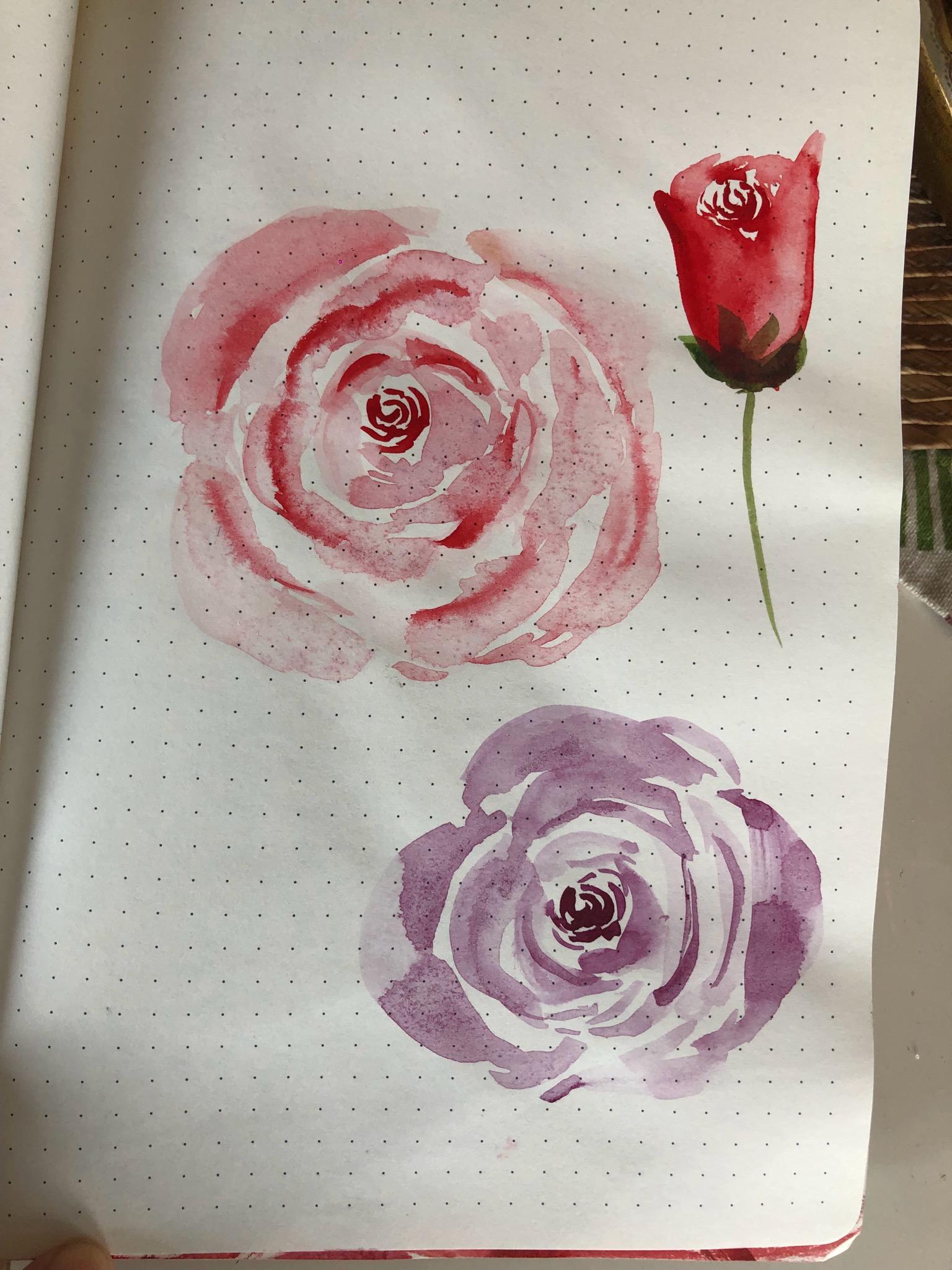 Journaling with anemones - image 3 - student project