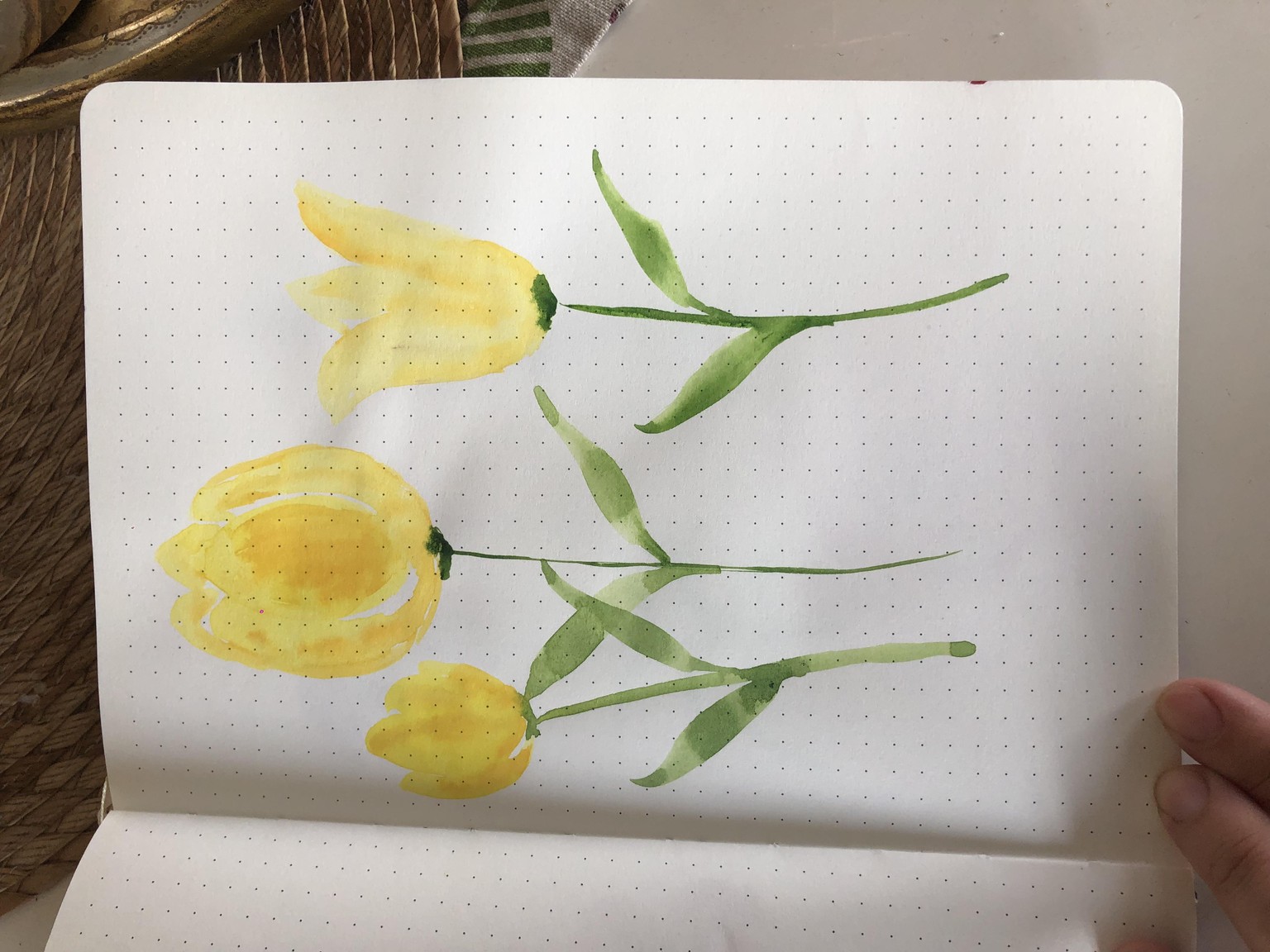 Journaling with anemones - image 5 - student project