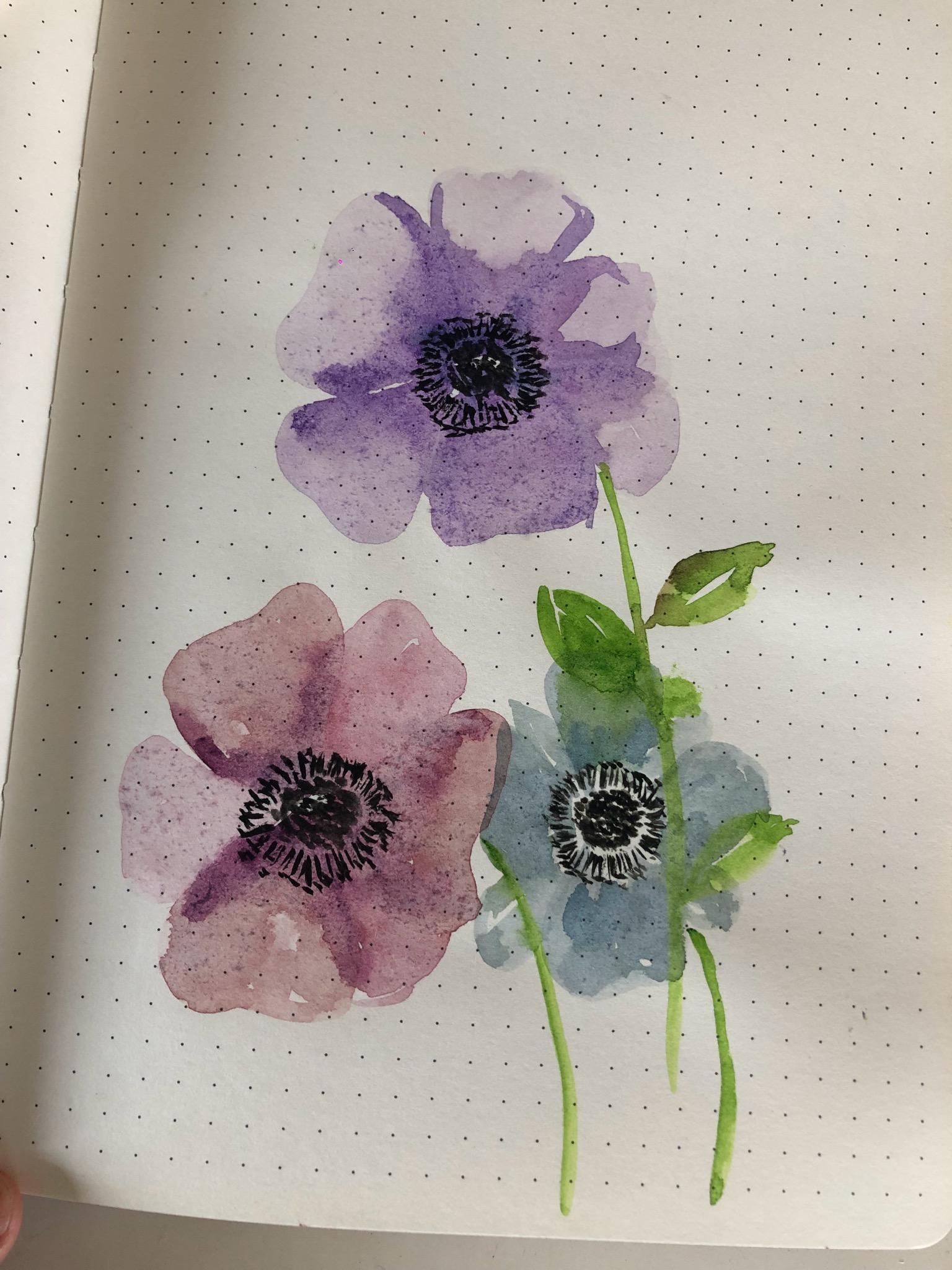Journaling with anemones - image 2 - student project