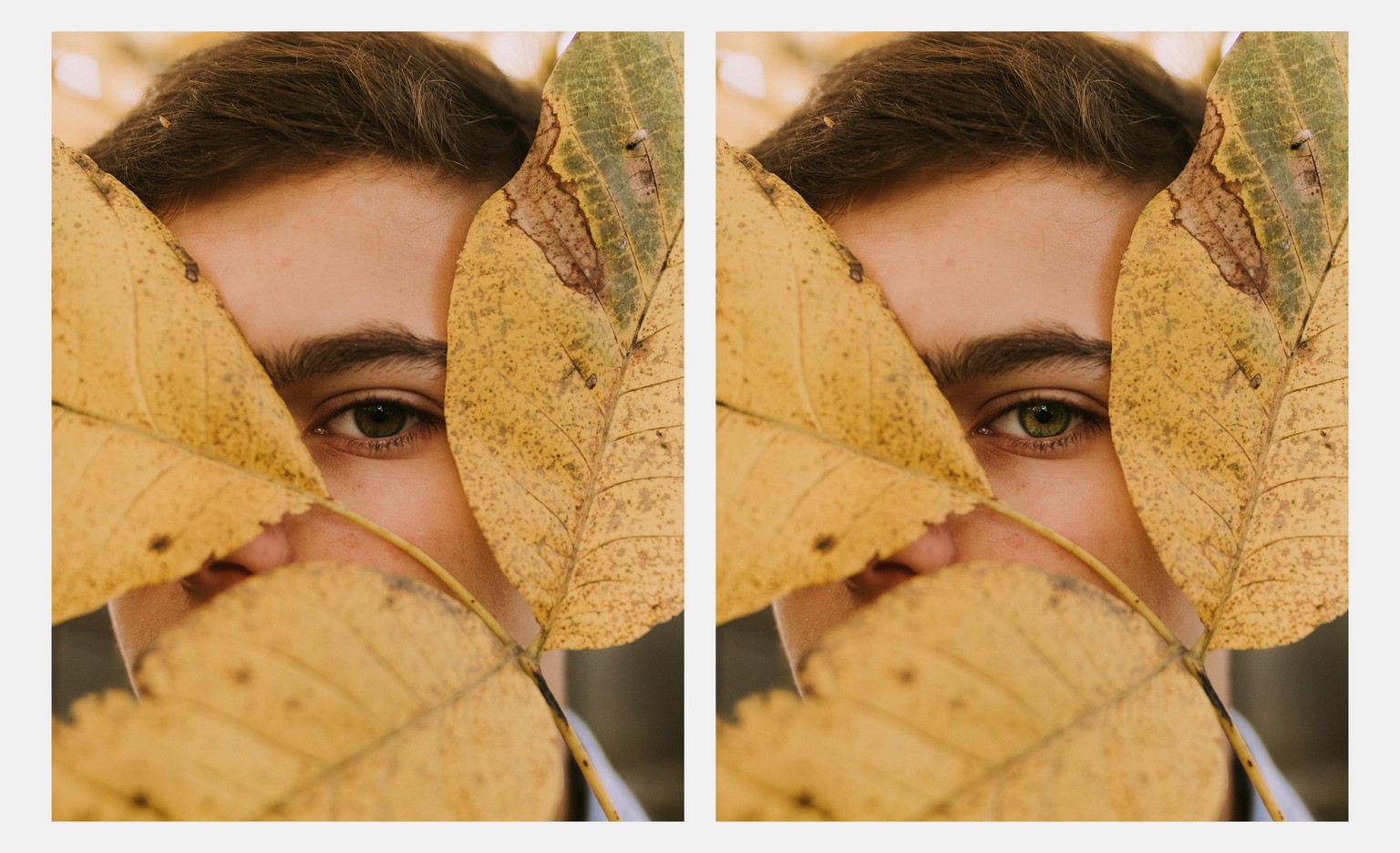 Adobe Photoshop CC – Advanced Training Course - image 19 - student project