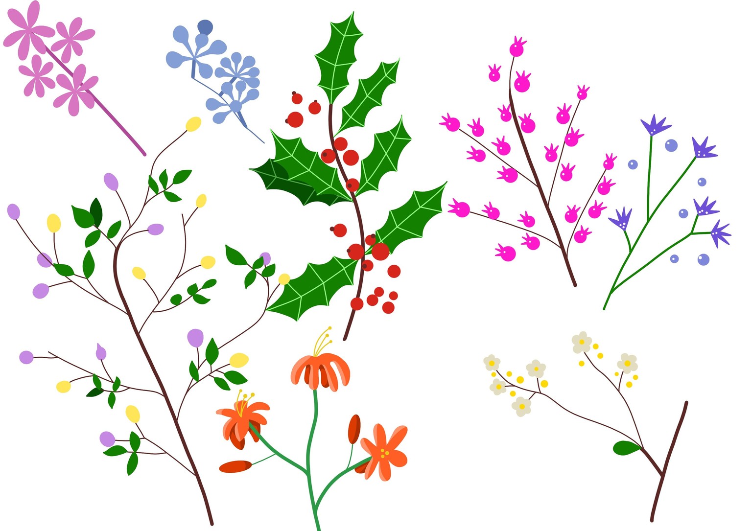 Botanical illustration - image 6 - student project