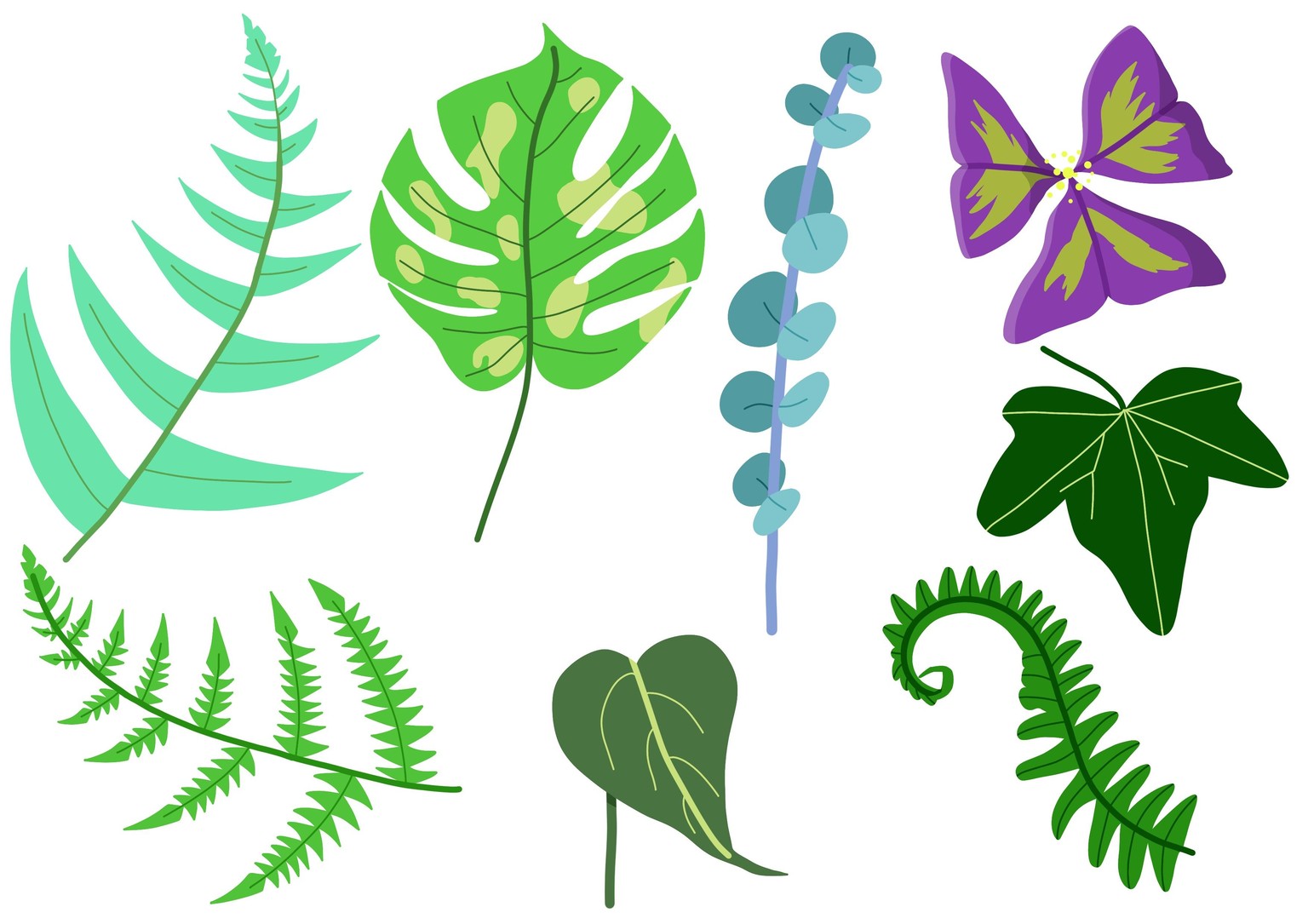 Botanical illustration - image 5 - student project