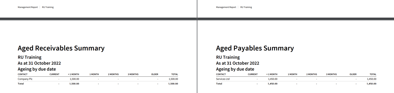 RU Training - Management Report - image 3 - student project
