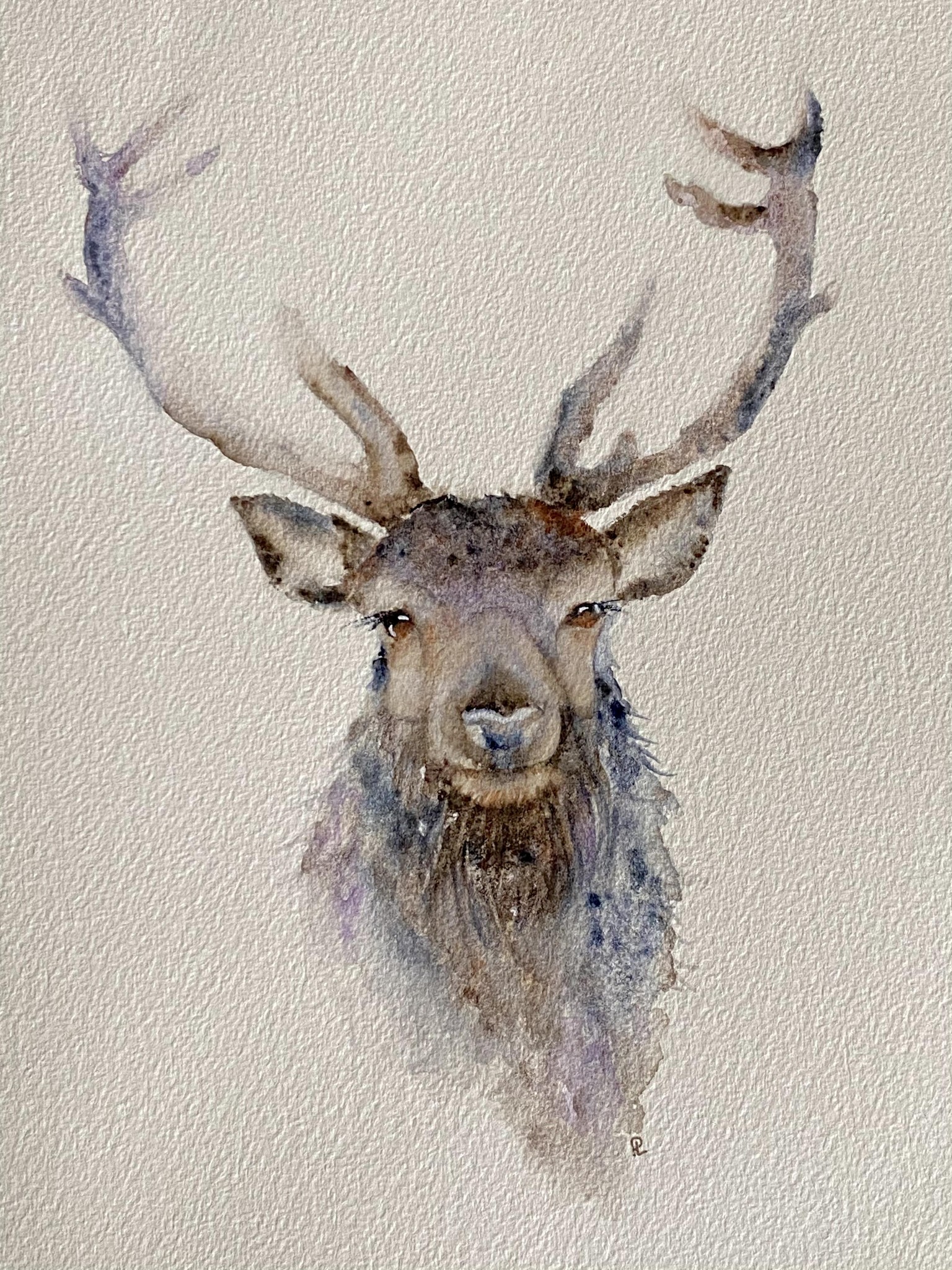 Festive Stag - image 1 - student project