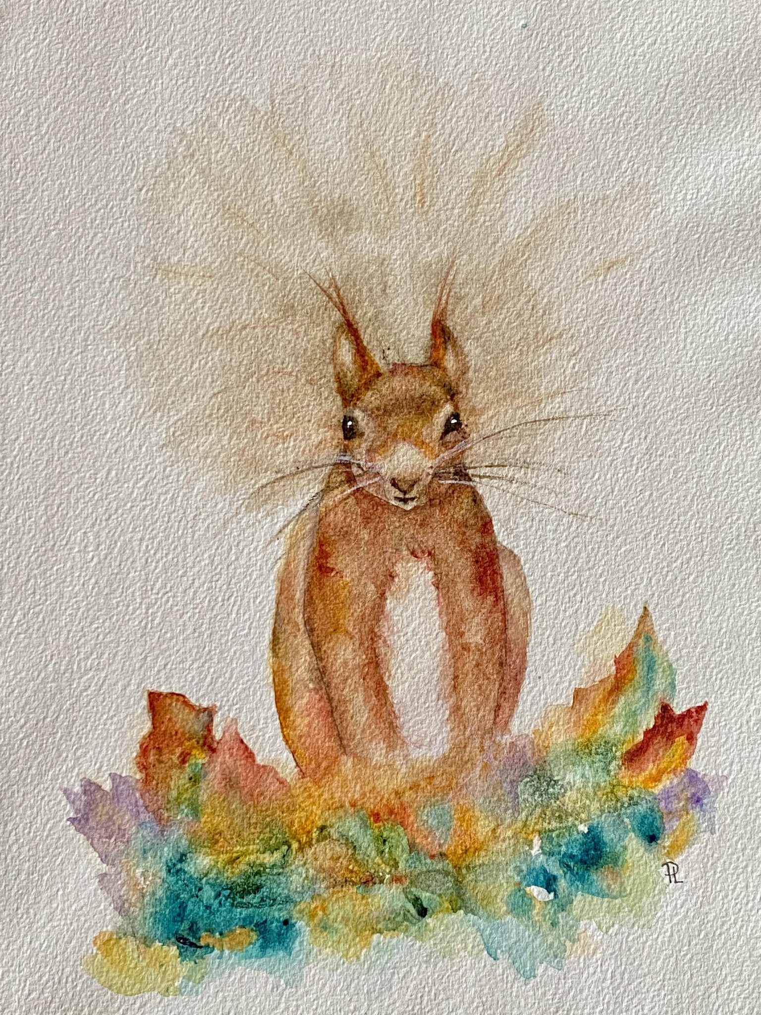 Sidney Squirrel - image 1 - student project